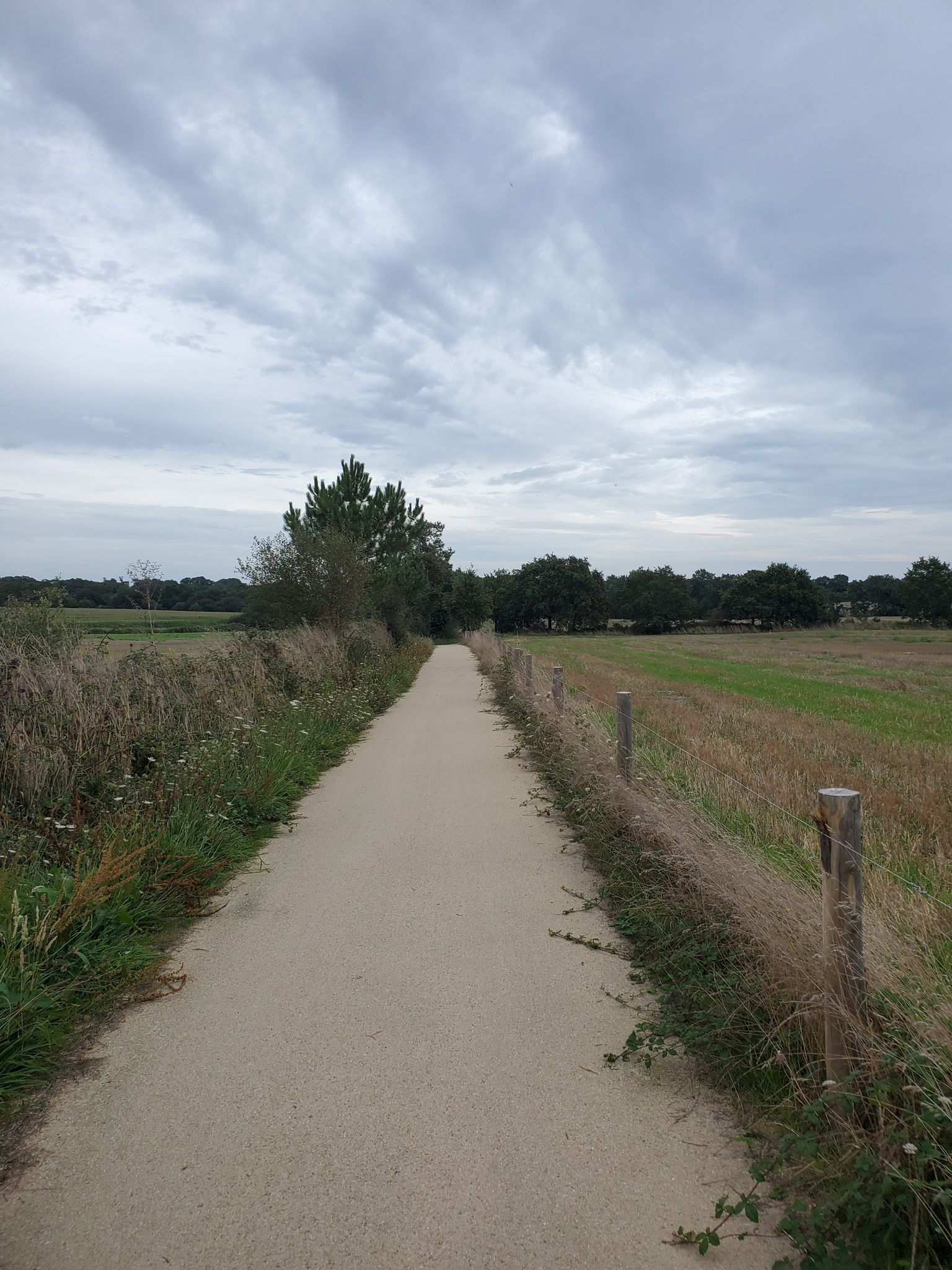 piste cyclable