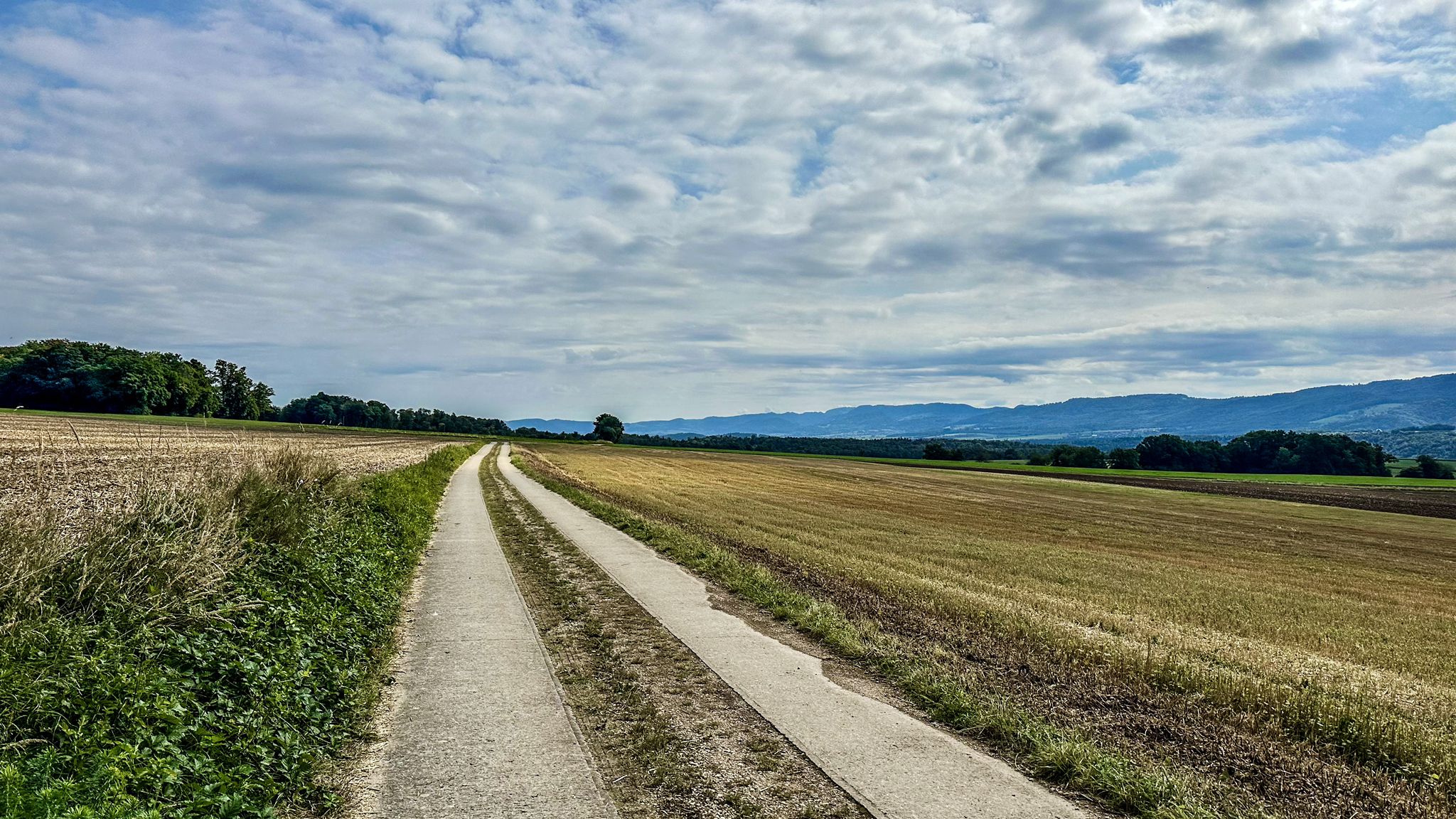 ...praktisch flach Richtung Courtedoux...