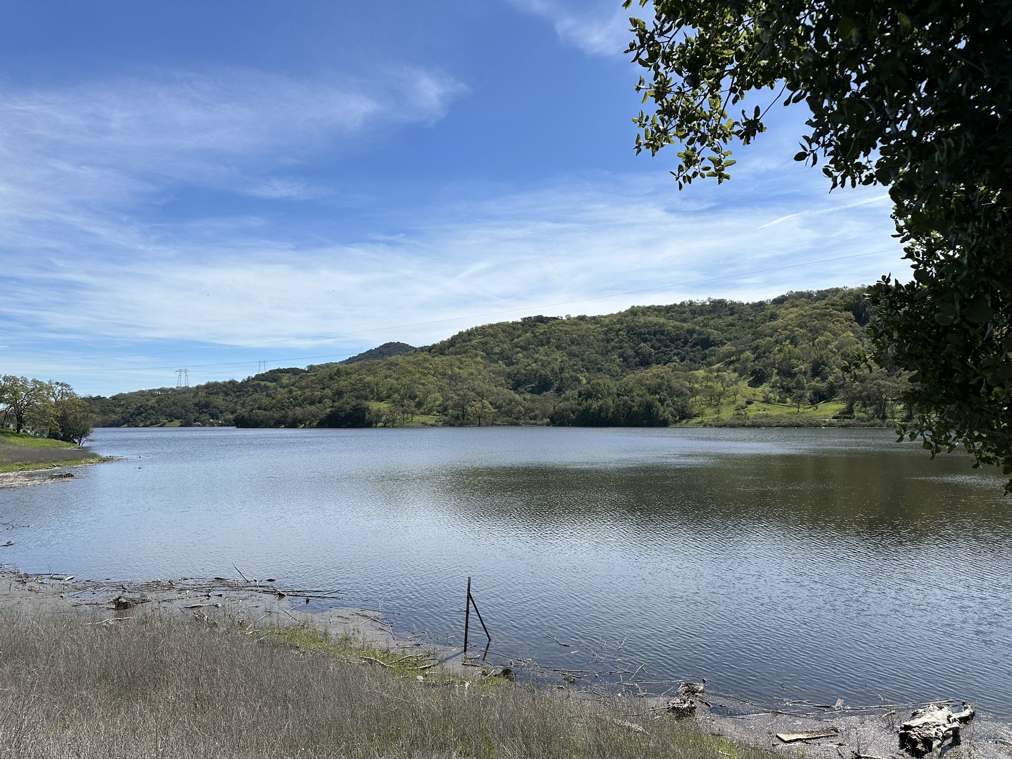 Calm lake with green hills under a bright, partly cloudy sky. - Calero Reservoir – View of Chesbro Reservoir loop from Rancho Cañada del Oro Open Space Preserve Entrance