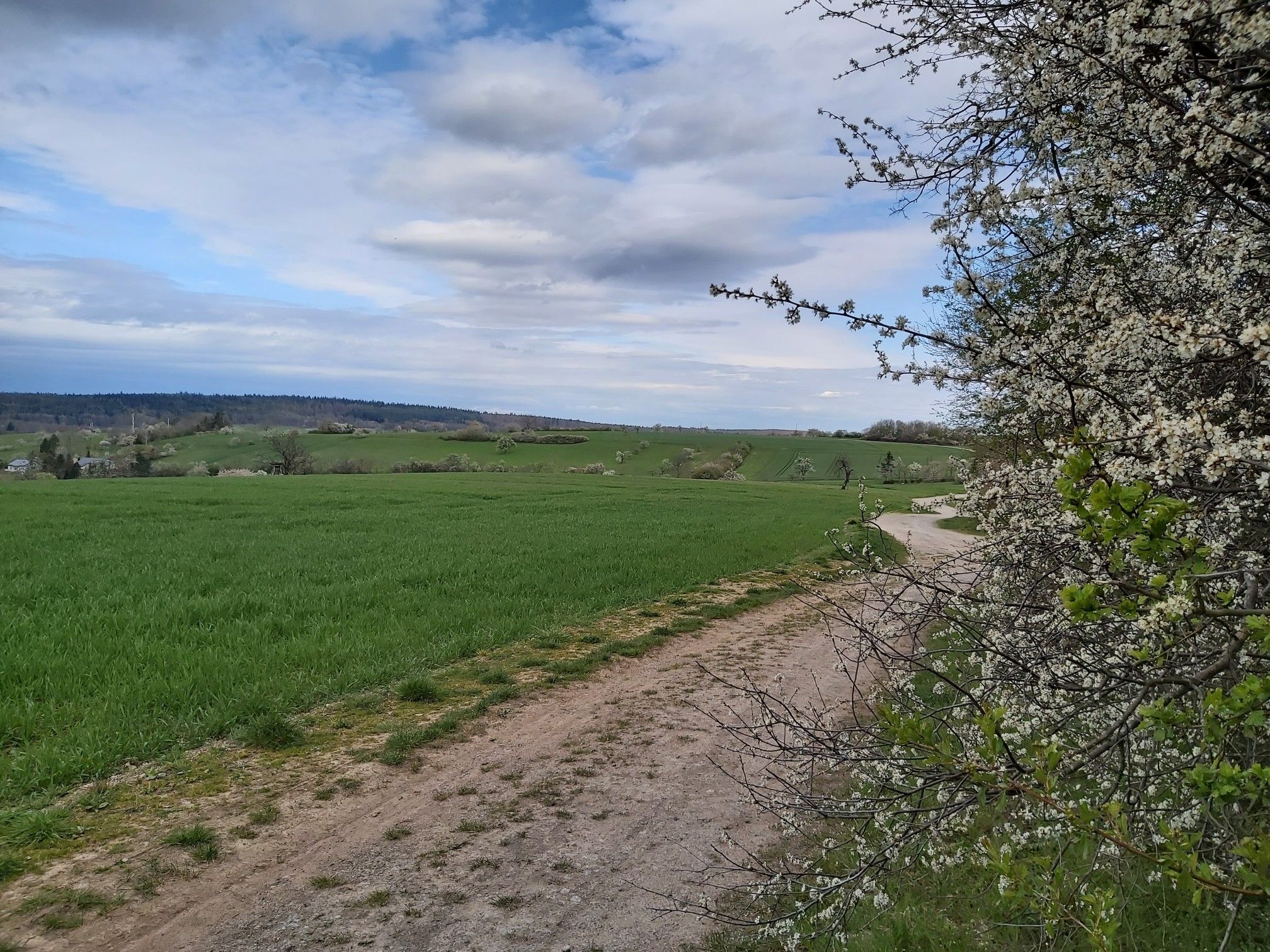Blick zum Fronberg