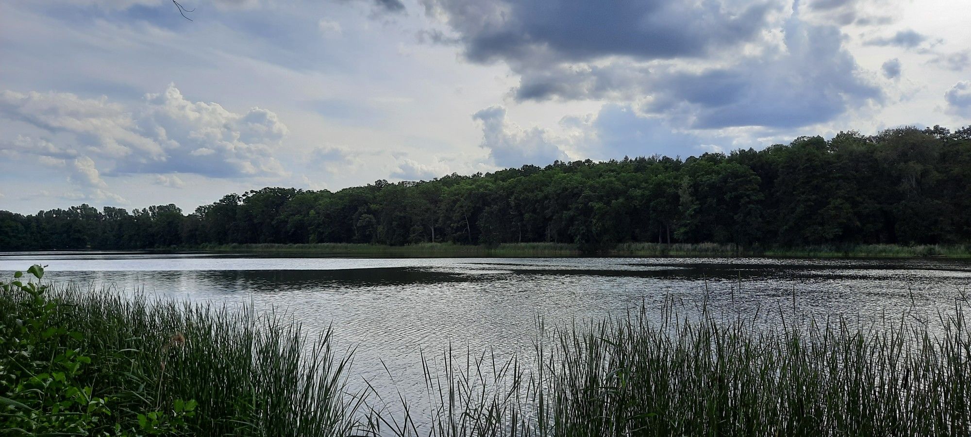 Göhlitzsee