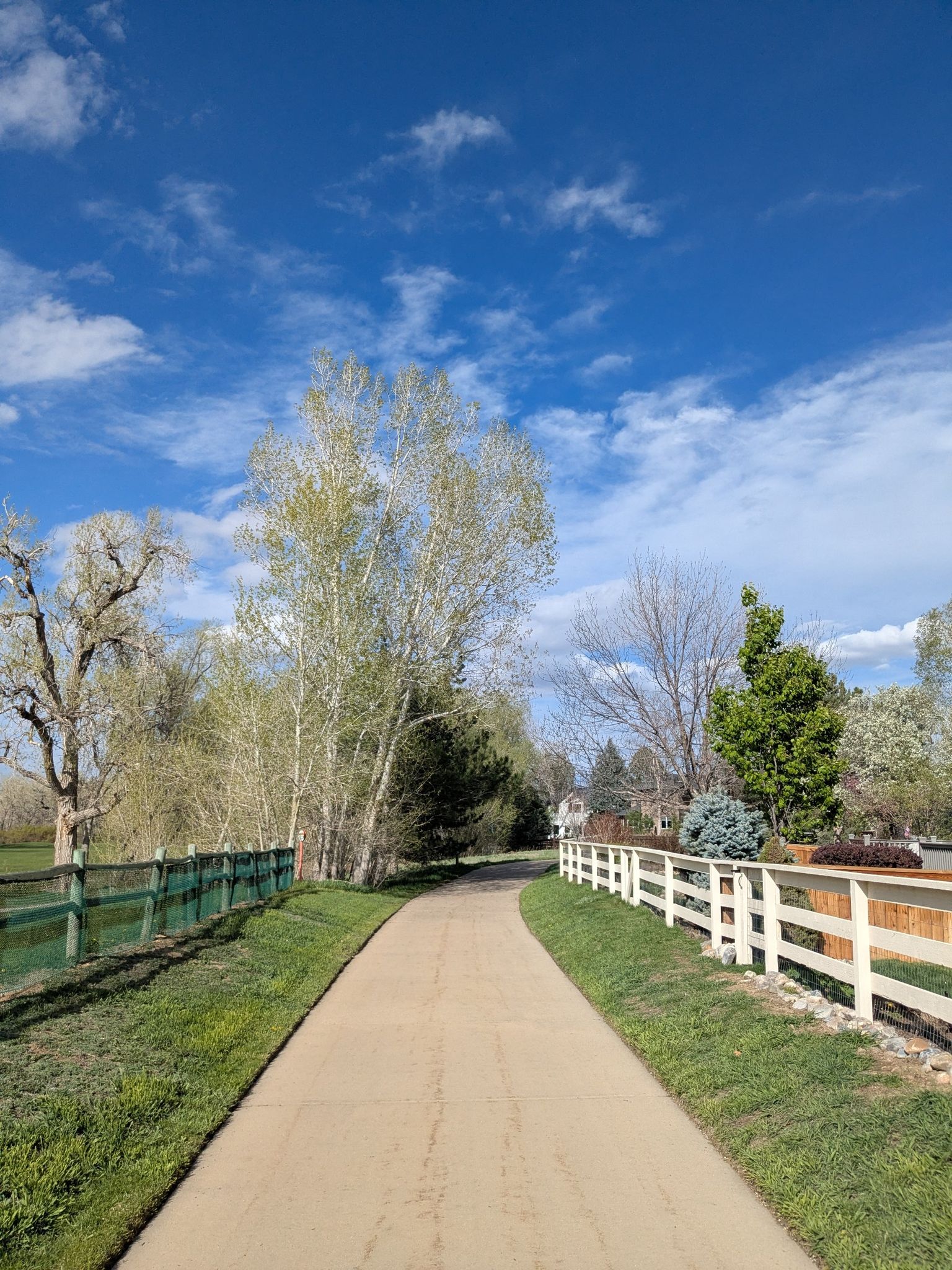 Paved path bordered by fences and trees under a bright blue sky. - Goodhue, Powerline, & Coal Creek loop