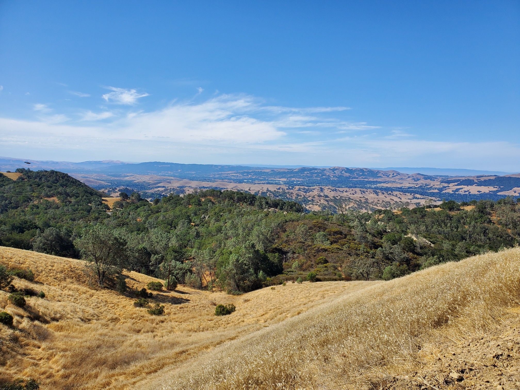 Sunny panoramic view of golden hills, green trees, and distant mountains under blue sky. - Wall Point and Stage Road Loop