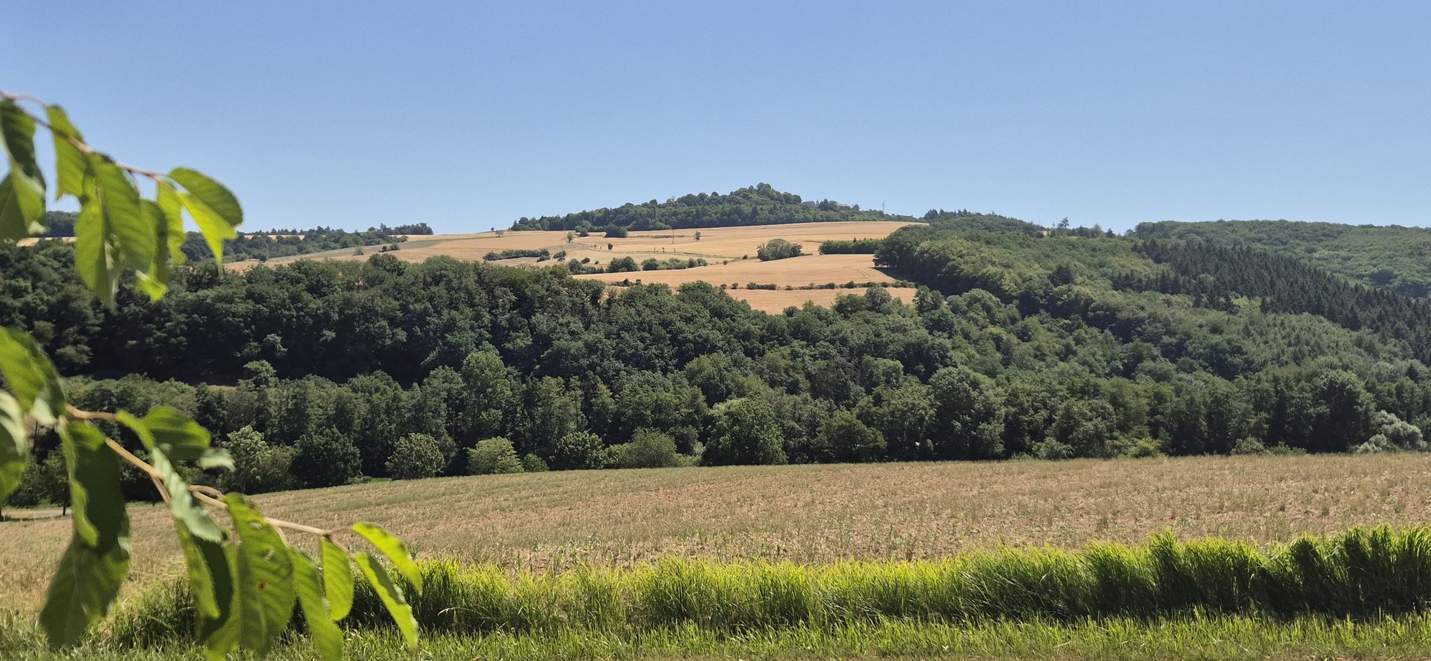 Blick hinauf nach Ruppertsecken