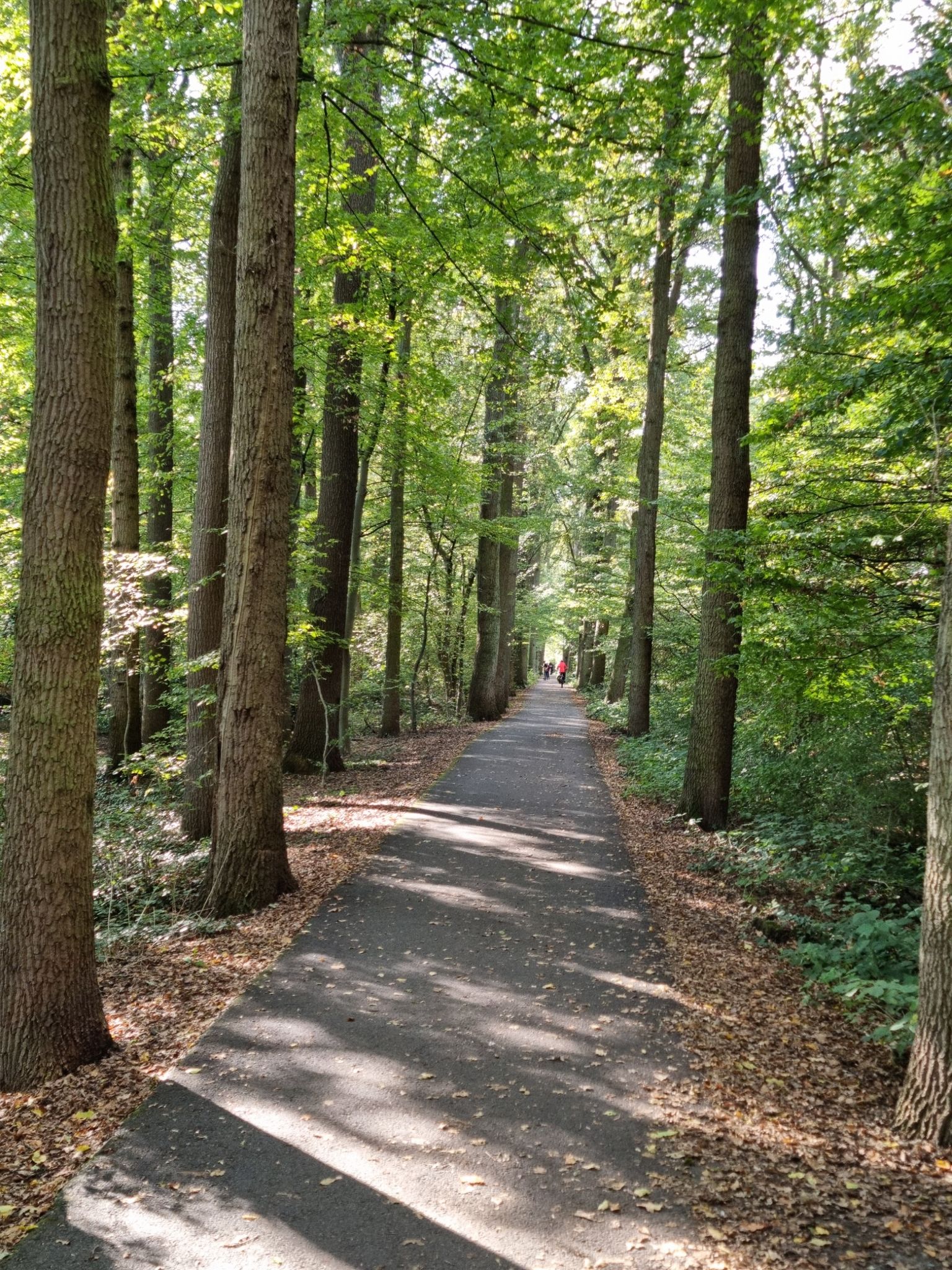 Herzebrock