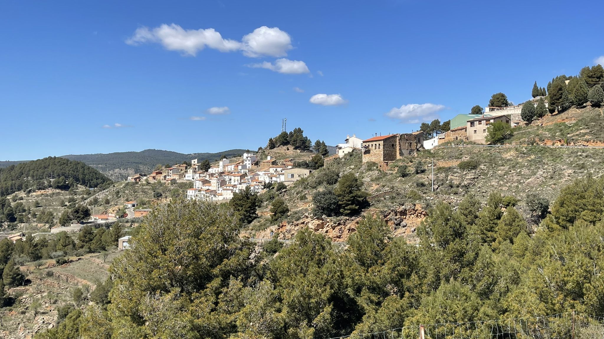 Zucaina