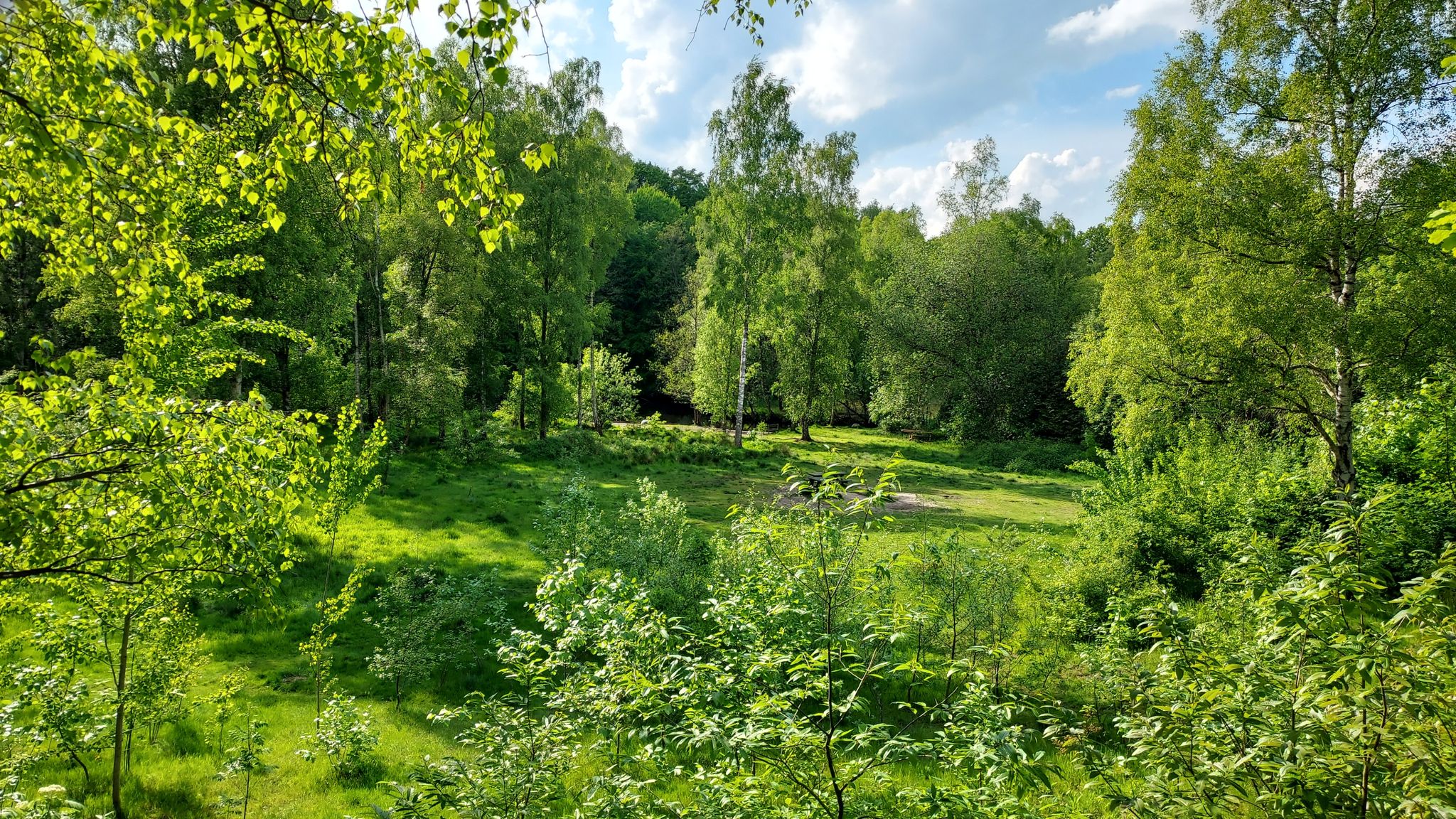 Elchtal