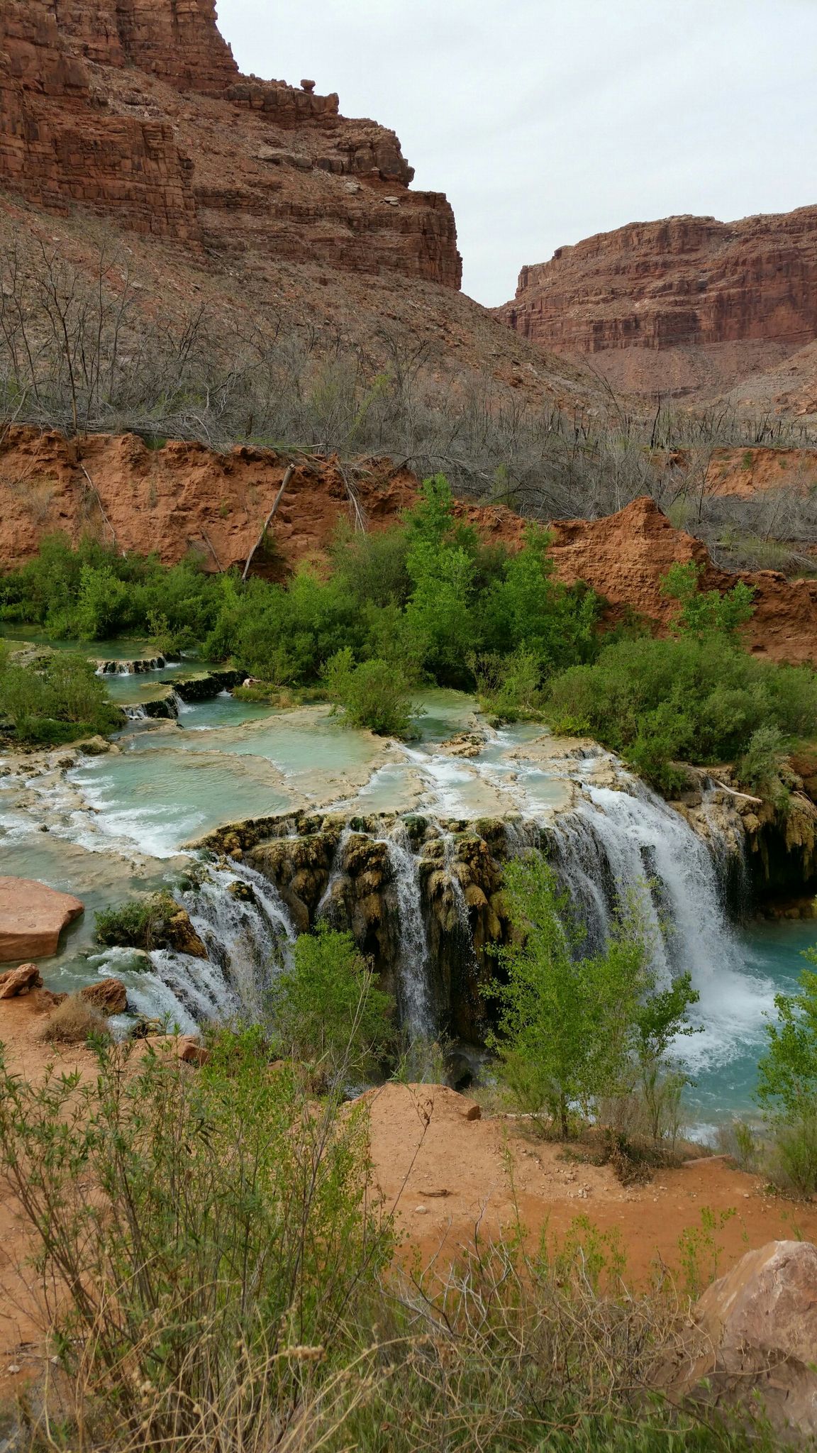 Tiered waterfalls flow over rock formations, surrounded by green foliage and red cliffs. - Supai Village loop from Supai