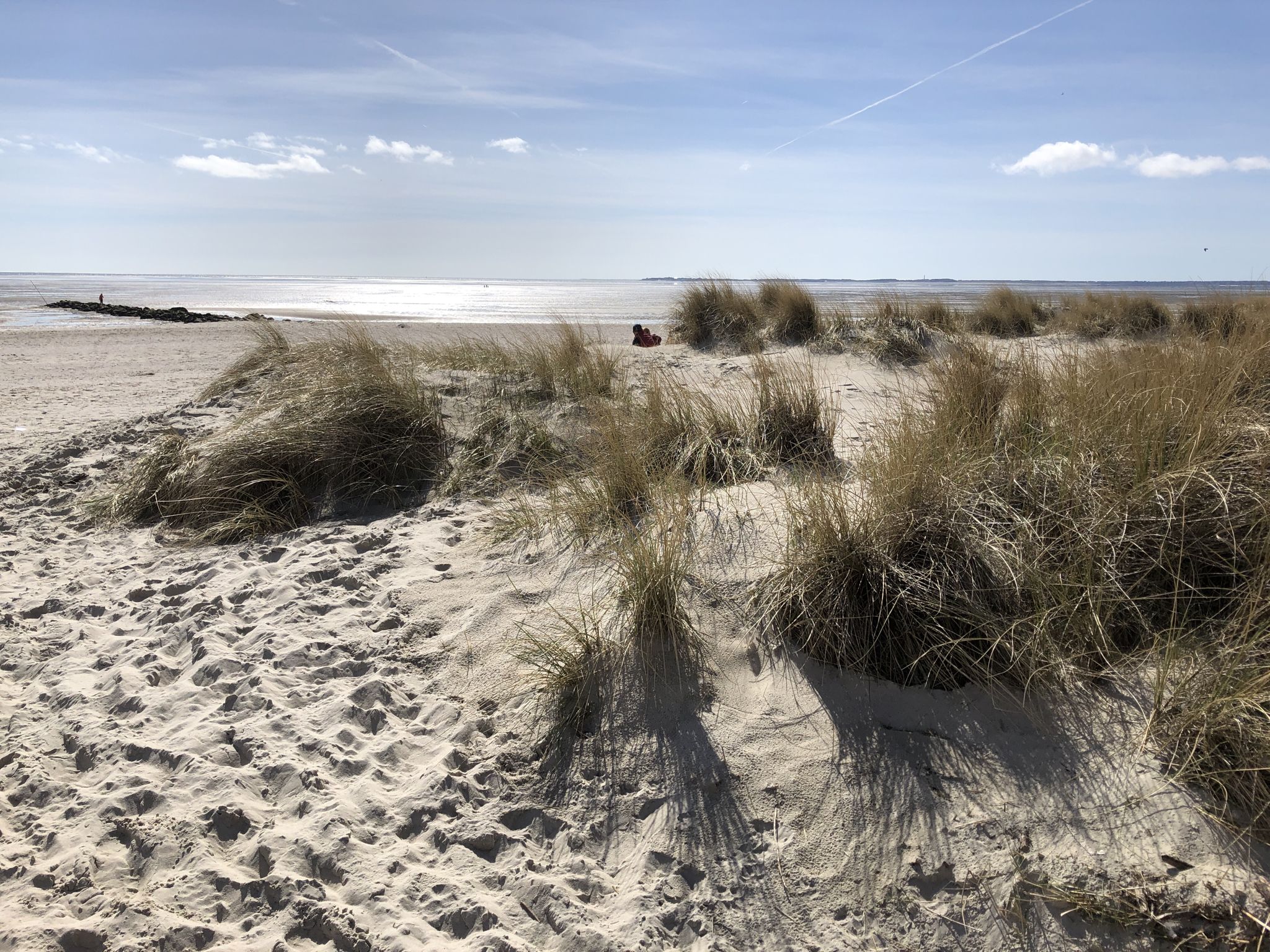 Blick über die Dünen nach Amrum …