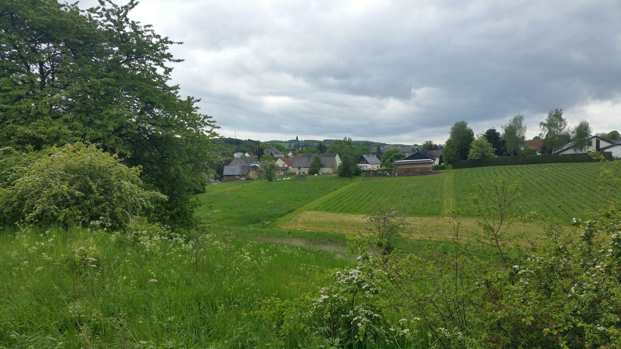 Blick auf Arzfeld
