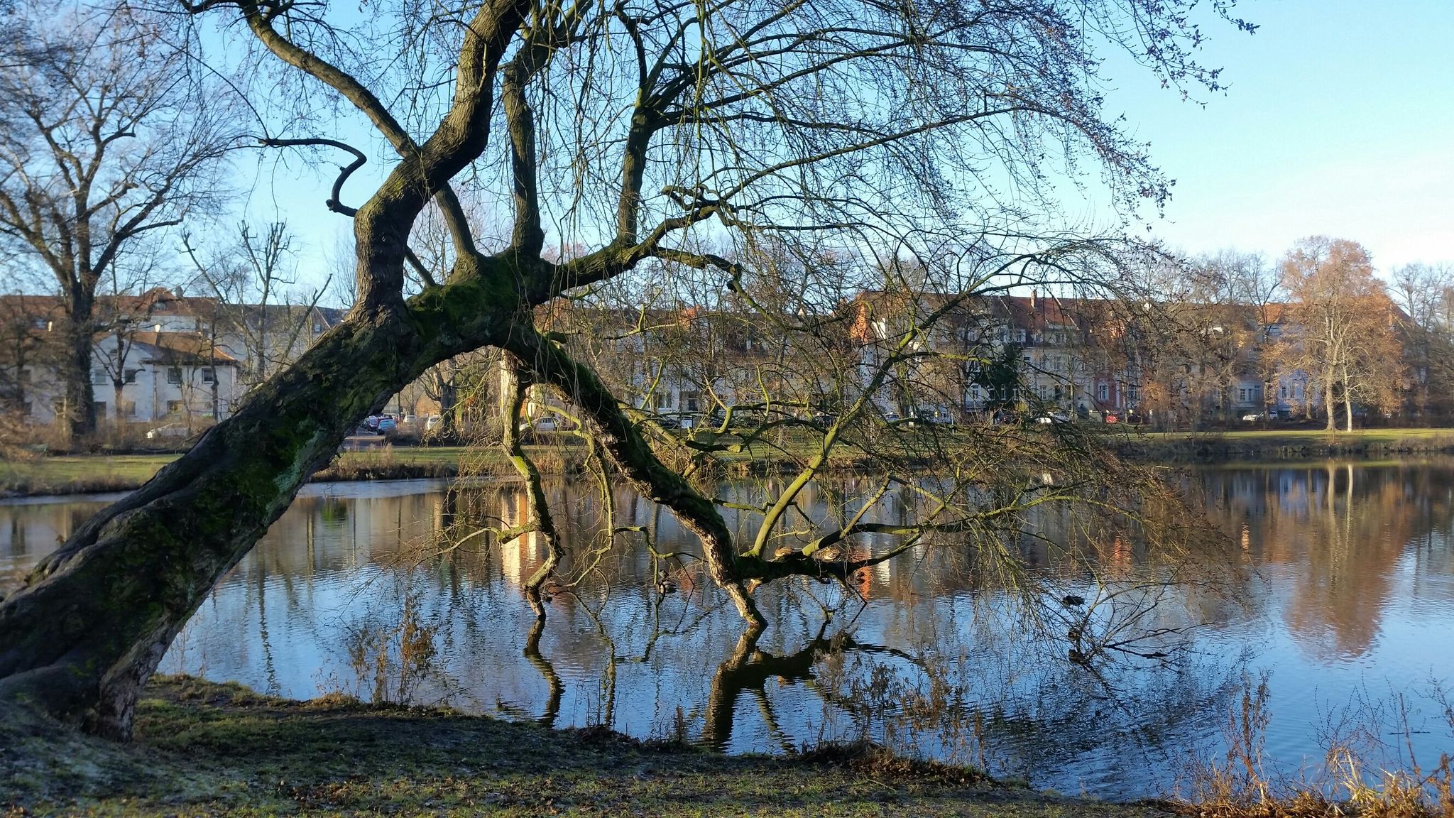 Bretschneiderpark