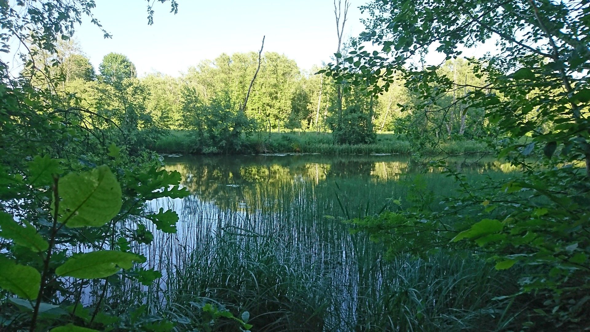 View to the Elva river