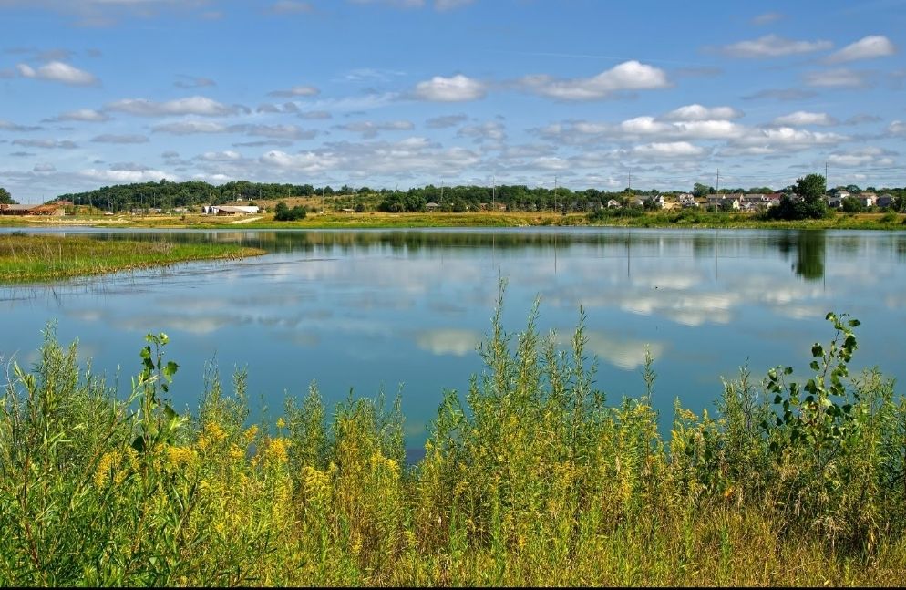 Calm lake reflecting a blue sky, surrounded by green and yellow plants on a sunny day. - Bridge over Iowa River – Iowa River Corridor Trail loop from Carver-Hawkeye Arena