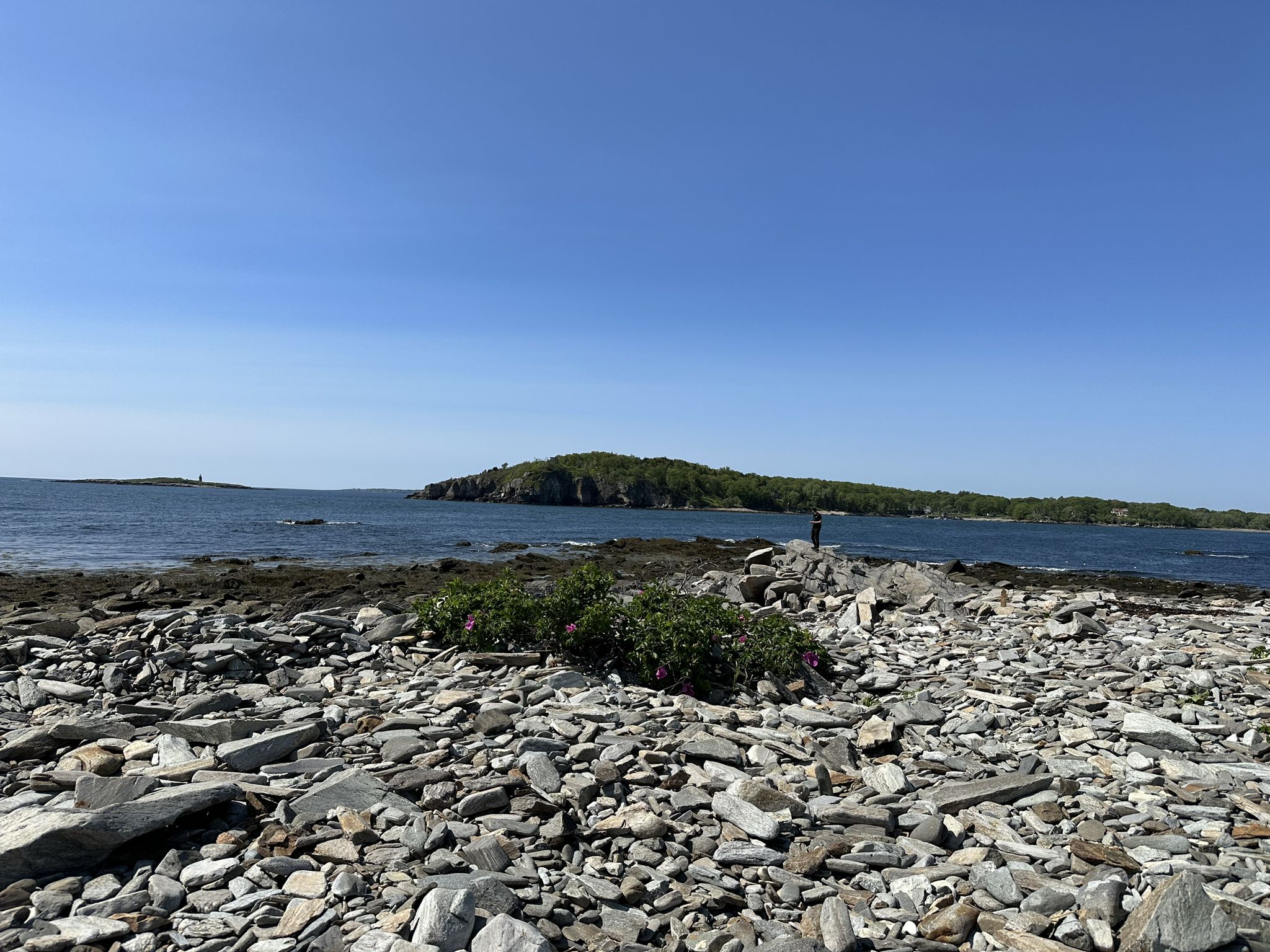 Rocky beach with a distant island and a person standing by the water. - Peaks Island Marina – Dog Library loop from Peaks Island