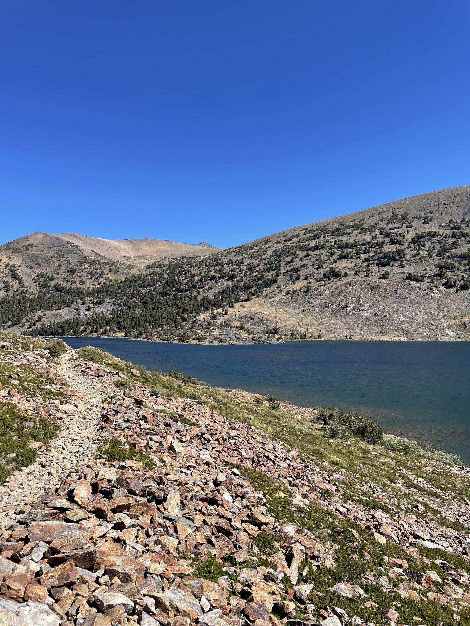Rocky trail alongside a wide blue lake with barren and forested mountains. - Saddlebag Lake to Conness Lakes Trail