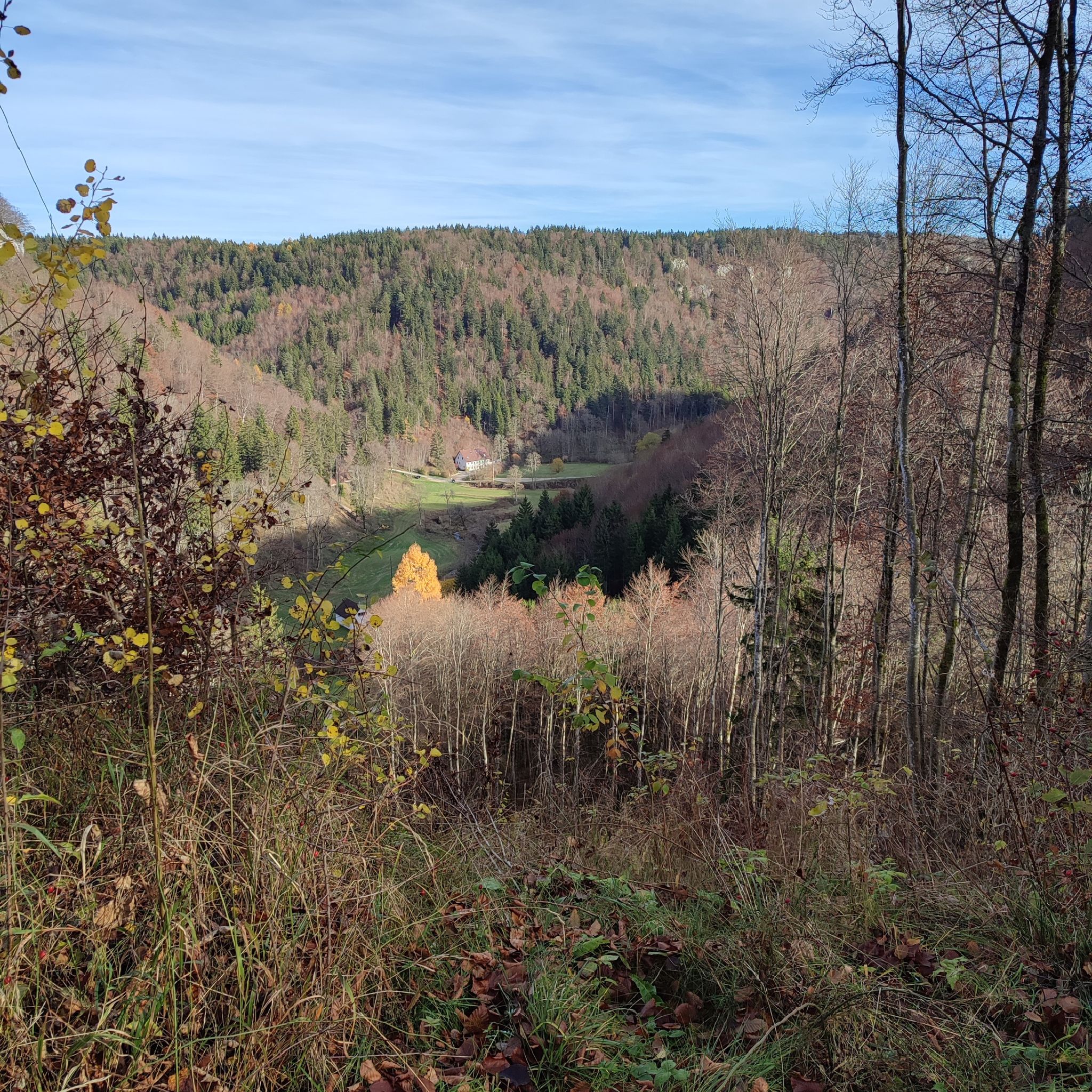 Blick auf die Lippachmühle