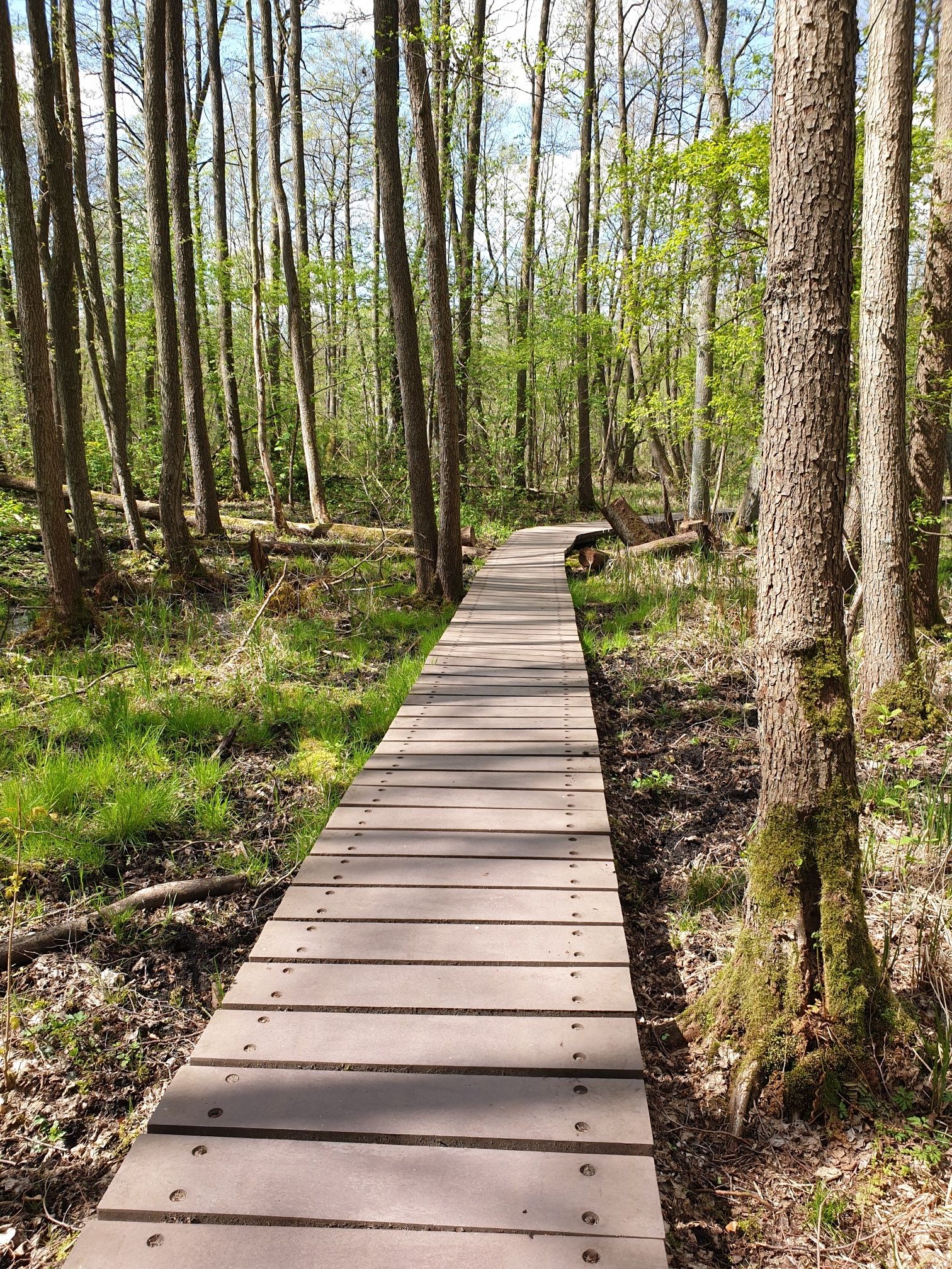 Steg Weg