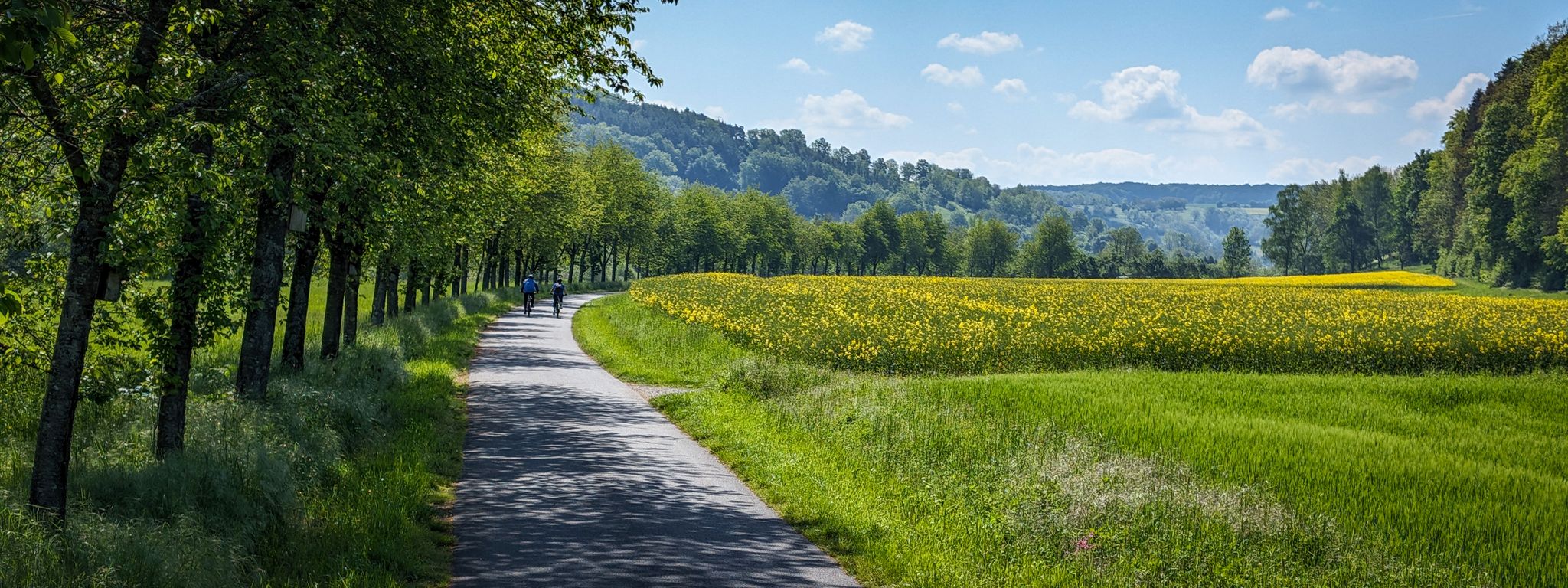 Kurz nach Dörzbach