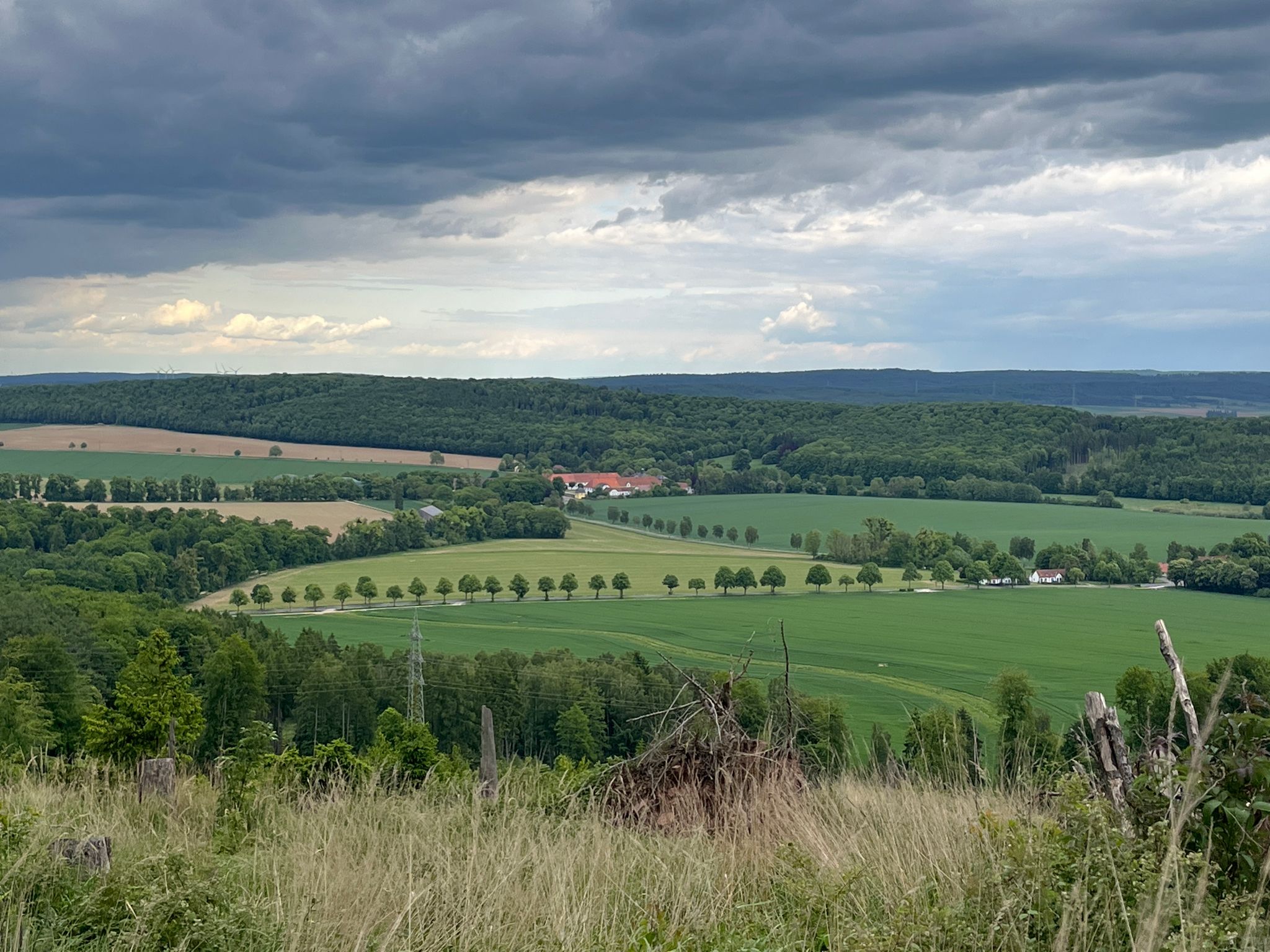 Wunderschöner Blick