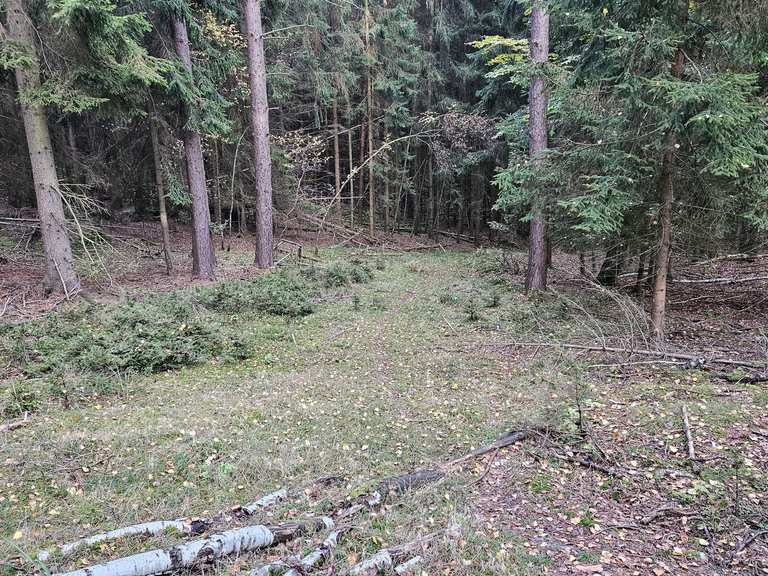 Ölsnitzgrund Richtung St. Gangloff MountainbikeTour Komoot