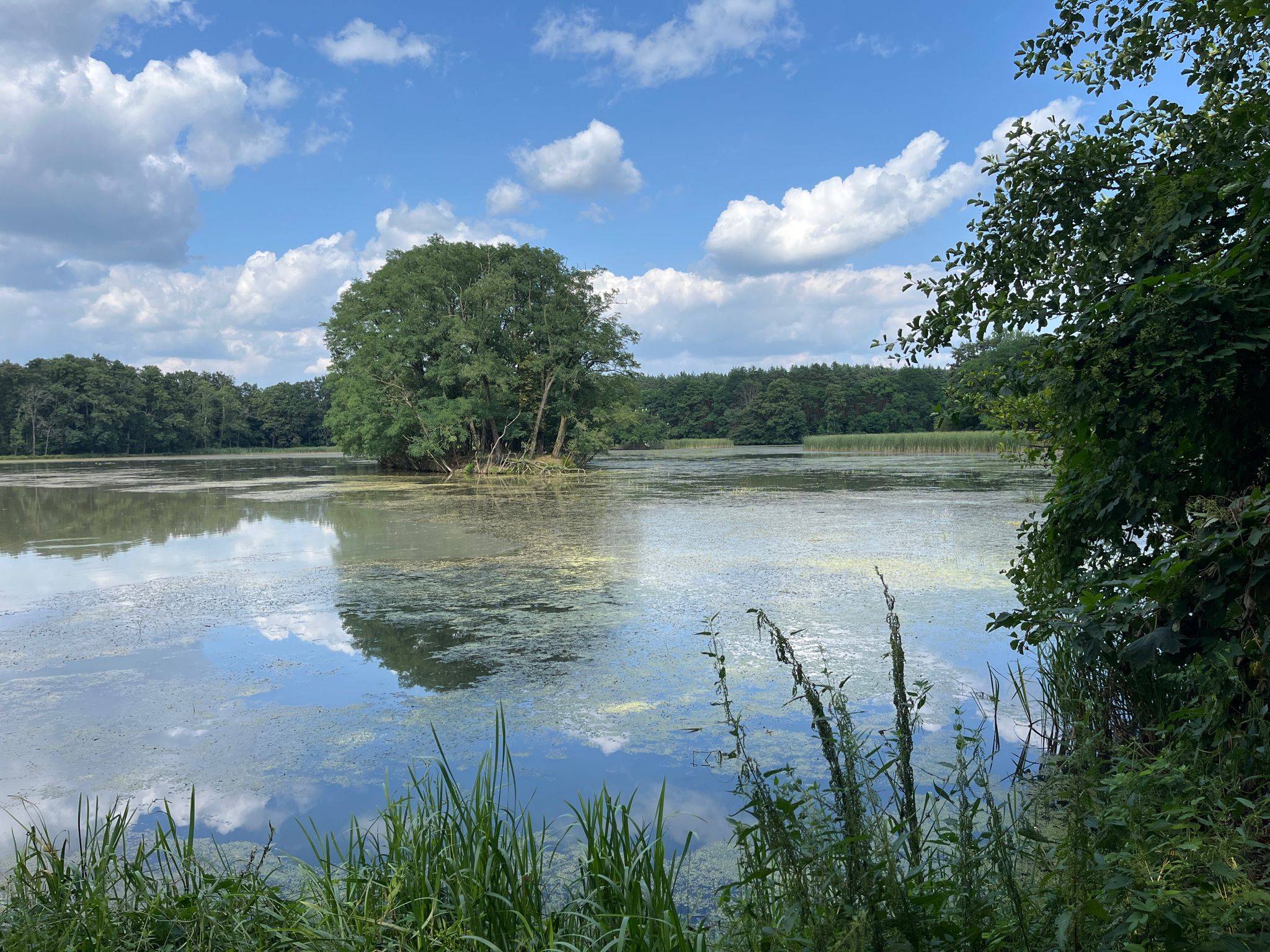 Blick über den großen Heikteich