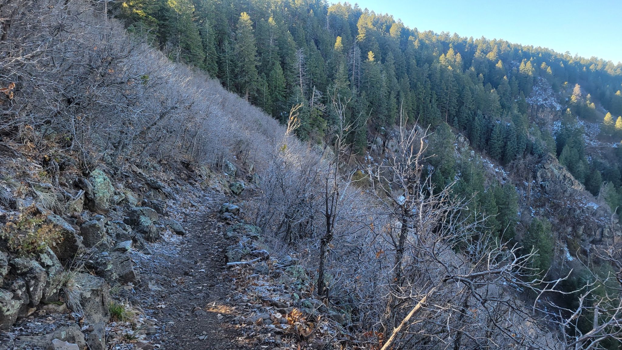 A narrow dirt trail on a steep, forested mountainside in bright sunlight. - North Mingus and View Point Trail Loop