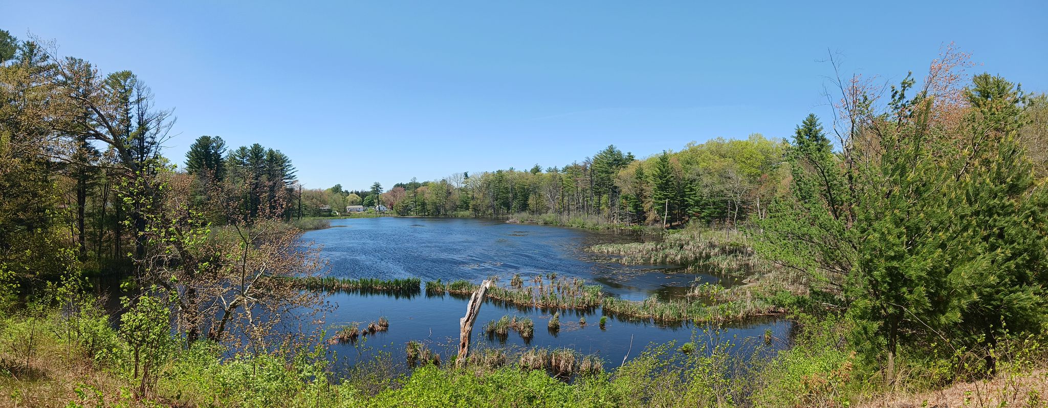 Panoramic view of a calm pond surrounded by lush green trees under a clear sky. - Nashua River Rail Trail – Nashua River Rail Trail loop from Ayer