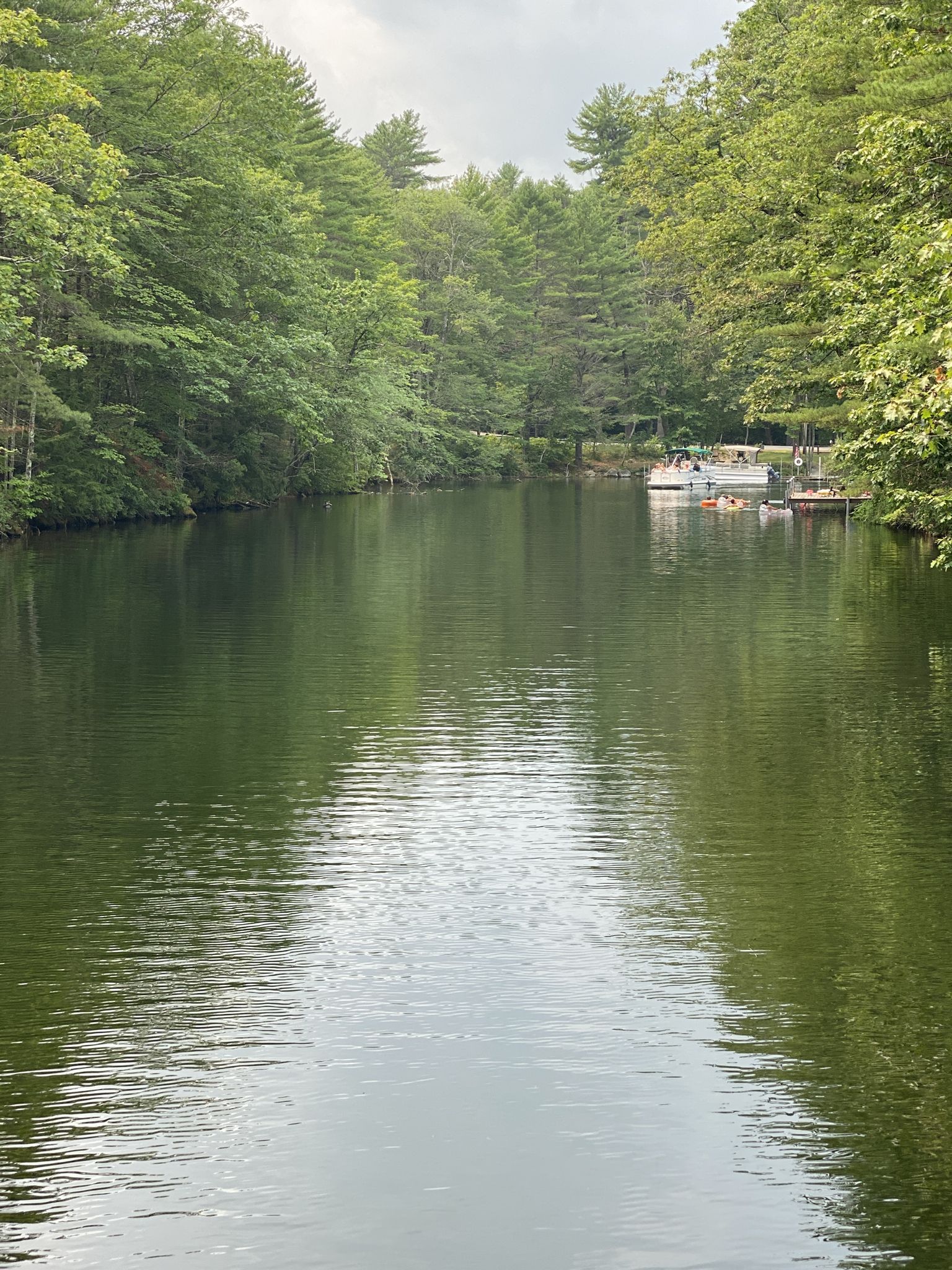 Calm green water surrounded by dense trees, with boats docked under an overcast sky. - Brandy Pond loop from Naples