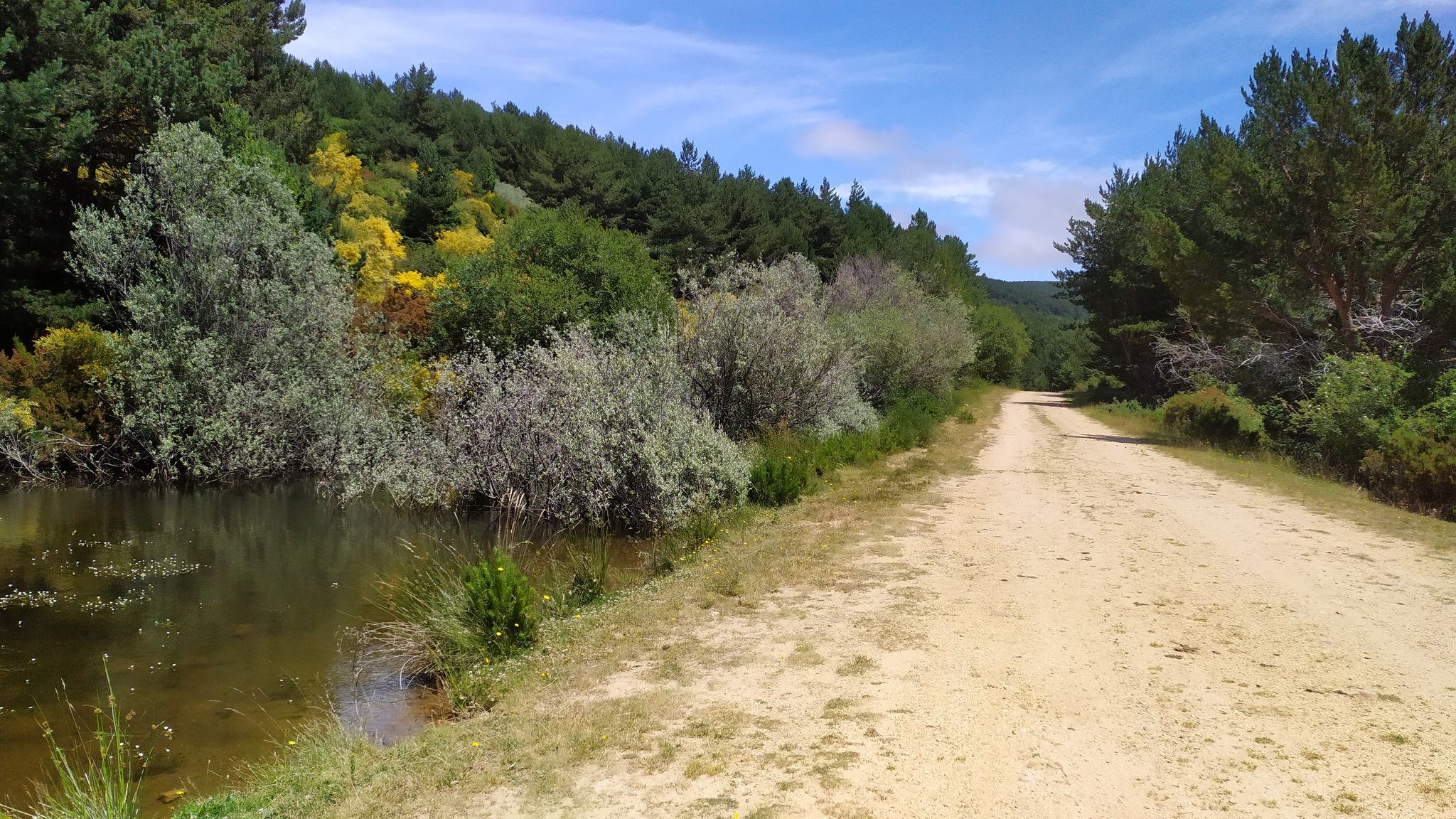 Camino a la Laguna de Cebollera