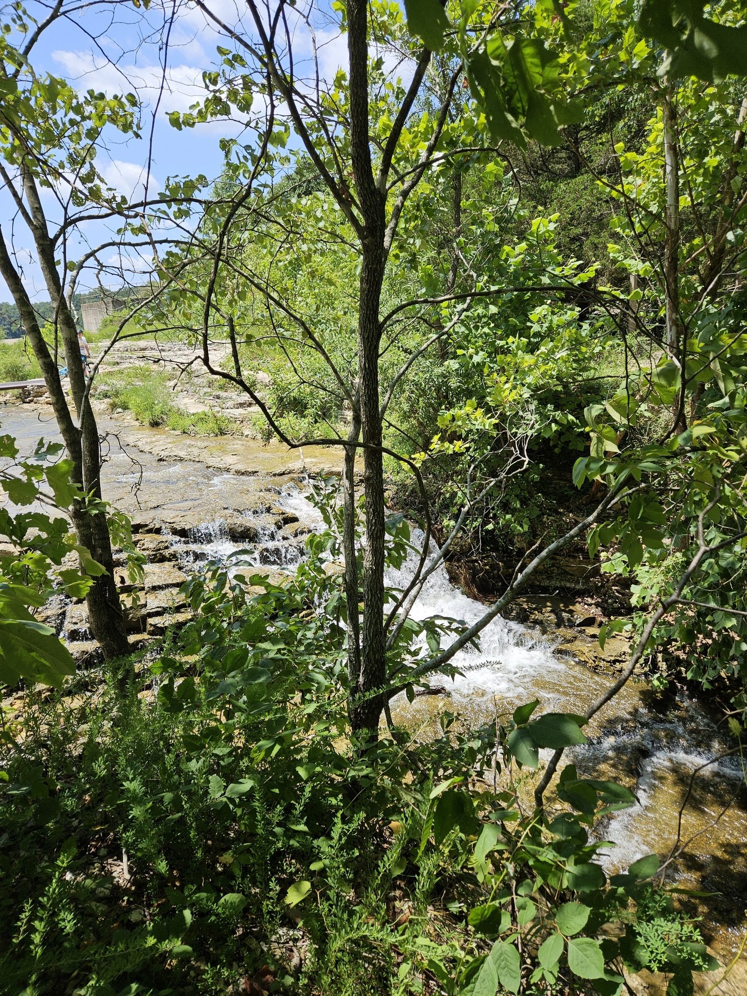 Lush green foliage frames a rocky stream with small waterfalls under bright sun. - Back 40 and Tunnel Vision Loop
