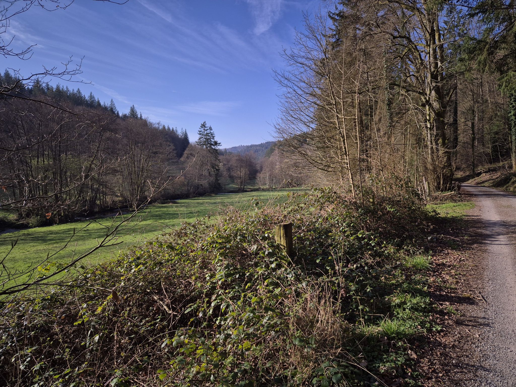 Blick auf die Alb