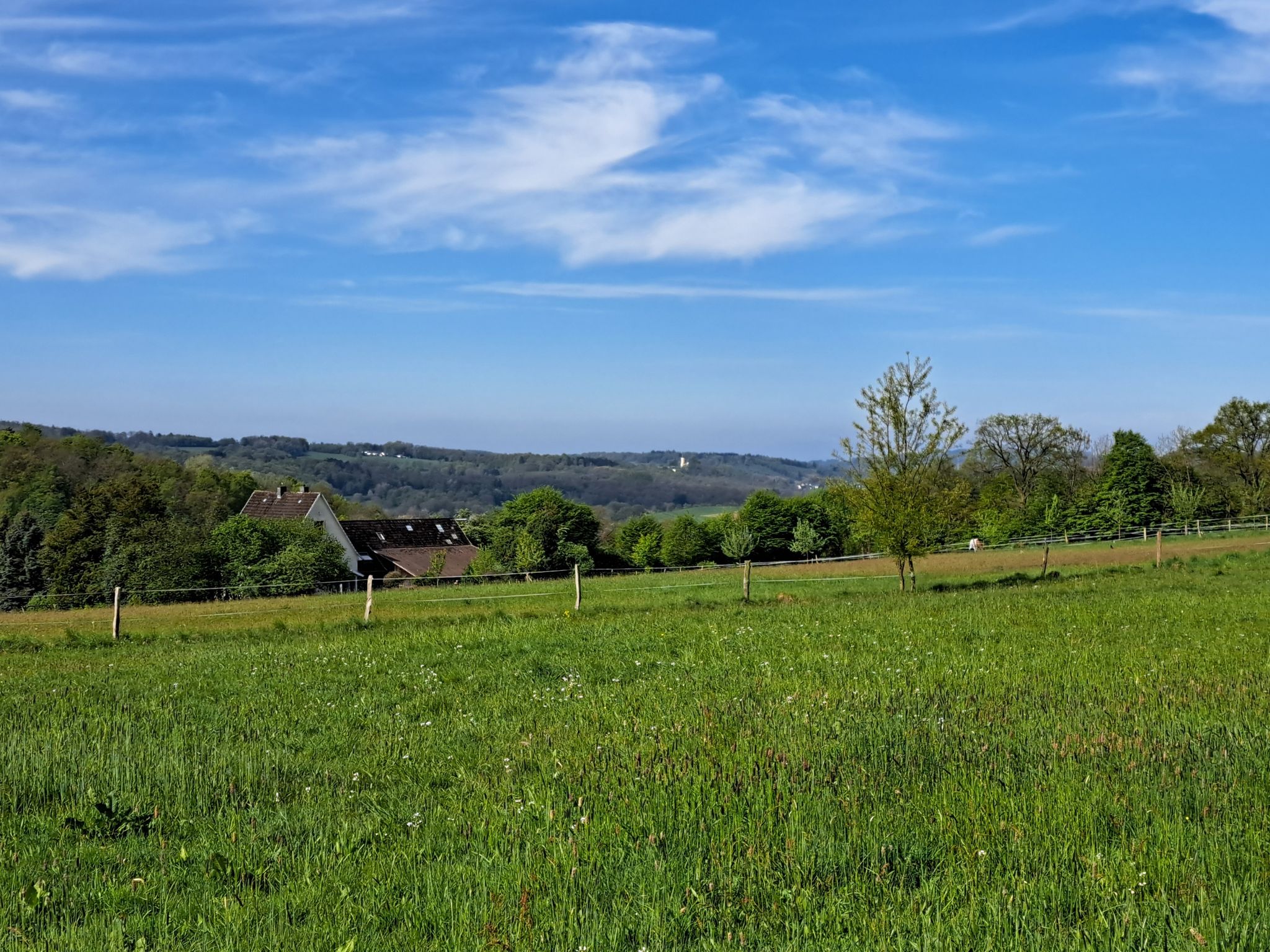 Blick auf Schloss Homburg