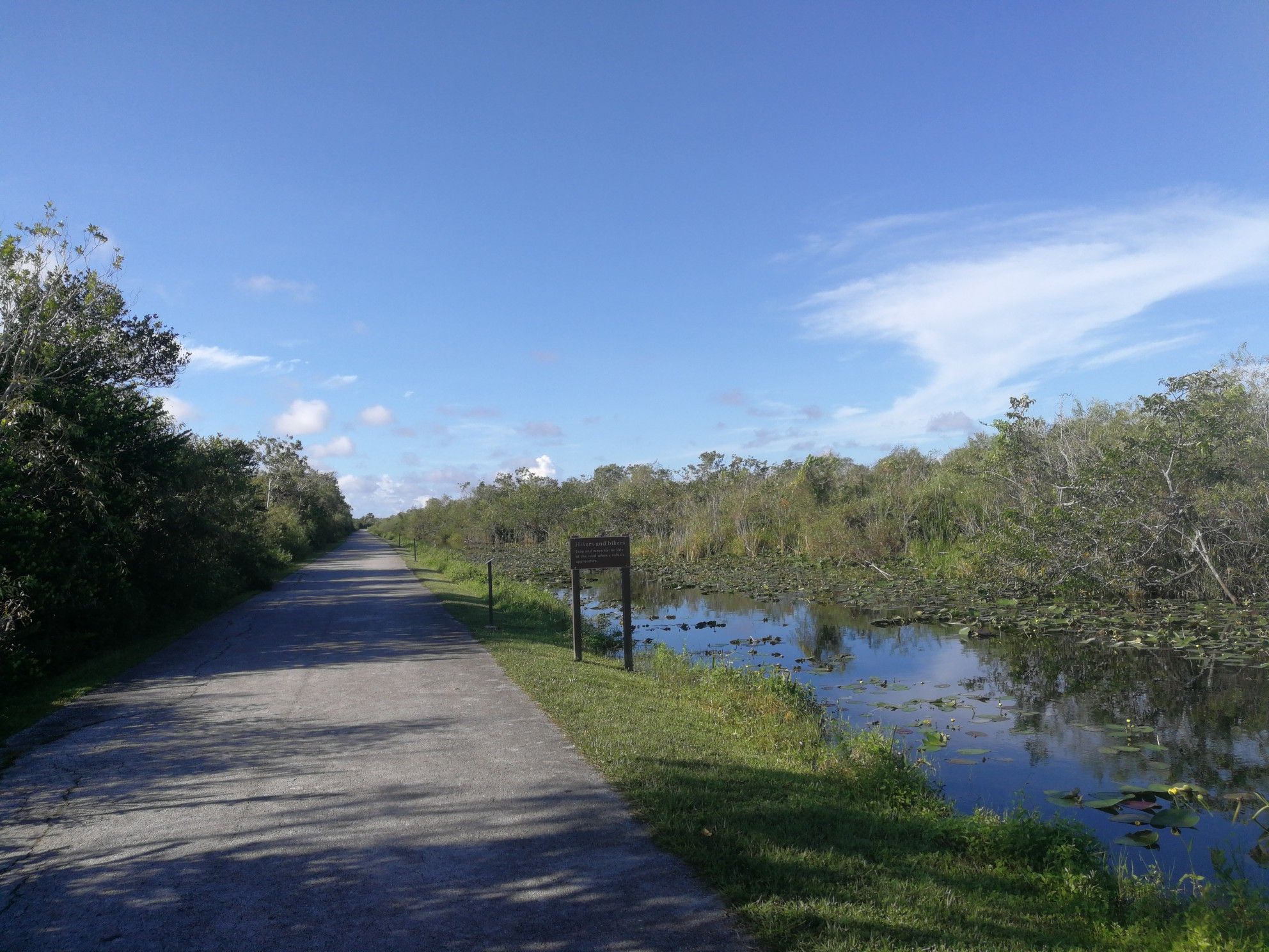 Paved path next to a swampy waterway under a clear blue sky. - Bobcat Boardwalk Trail