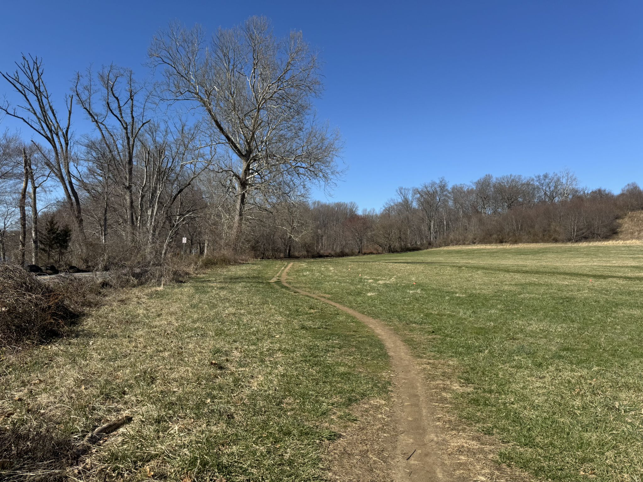 Winding dirt path through a green field, bordered by bare trees under a clear sky. - Brandywine Trail loop from Brandywine Powder Mills District