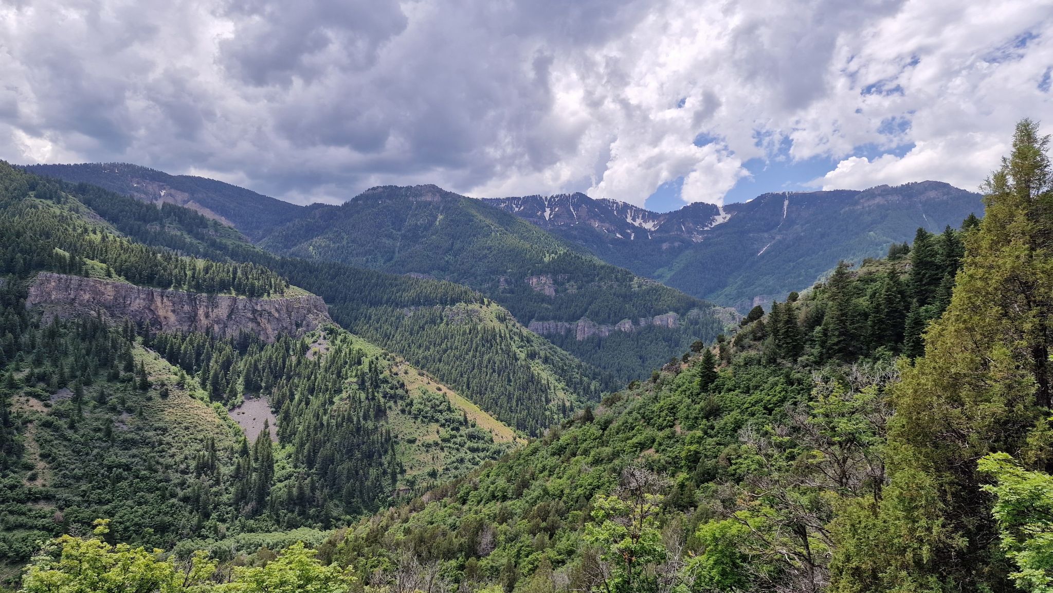 Wide view of green forested mountains with distant snow under a cloudy sky. - Wind Cave and Beirdneau Trail