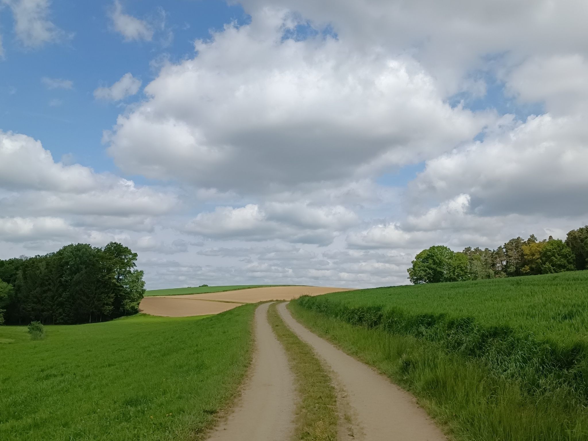 wirklich herrliche Wege ☺️