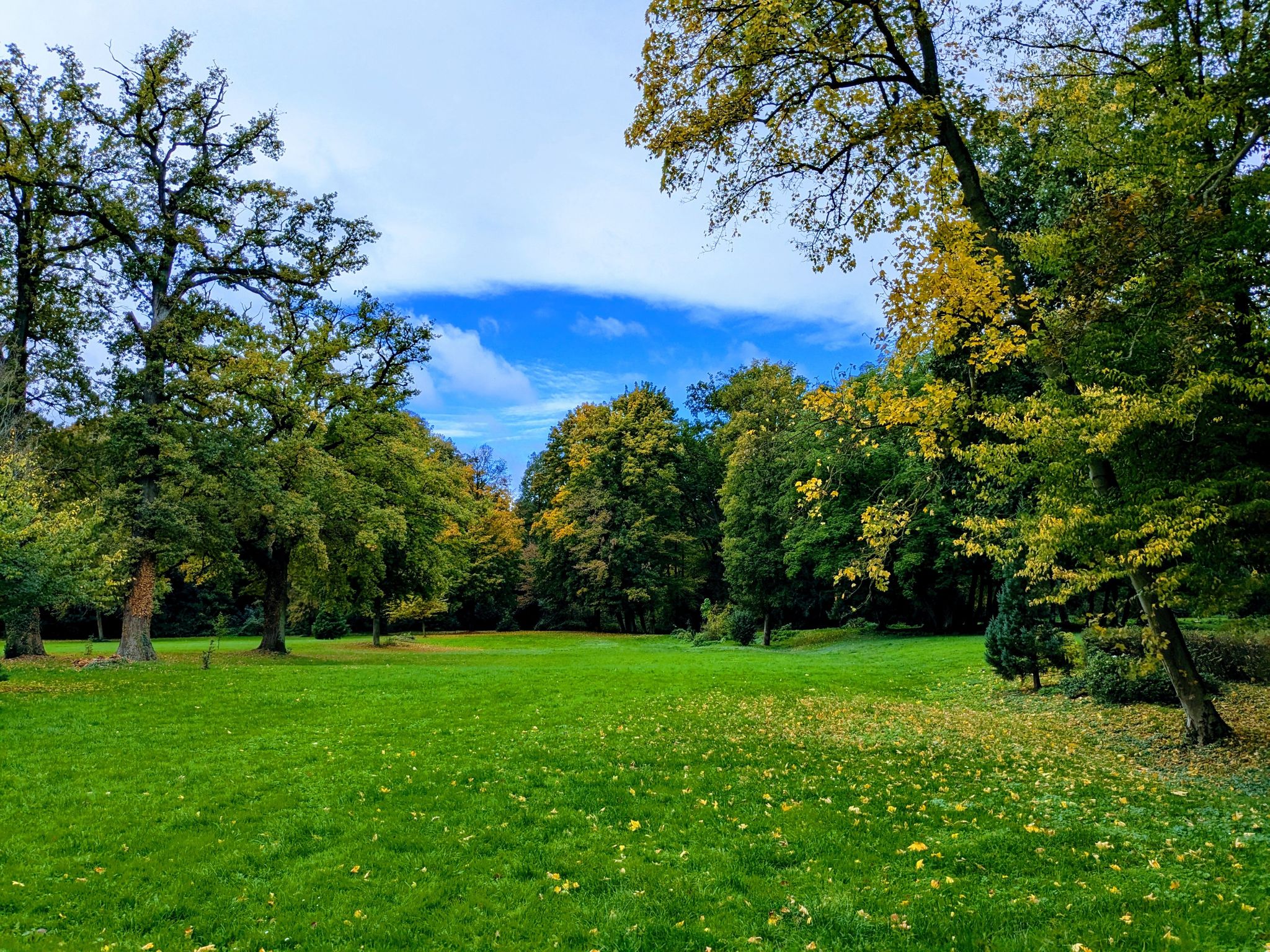 Park und Schloss Lörsfeld
