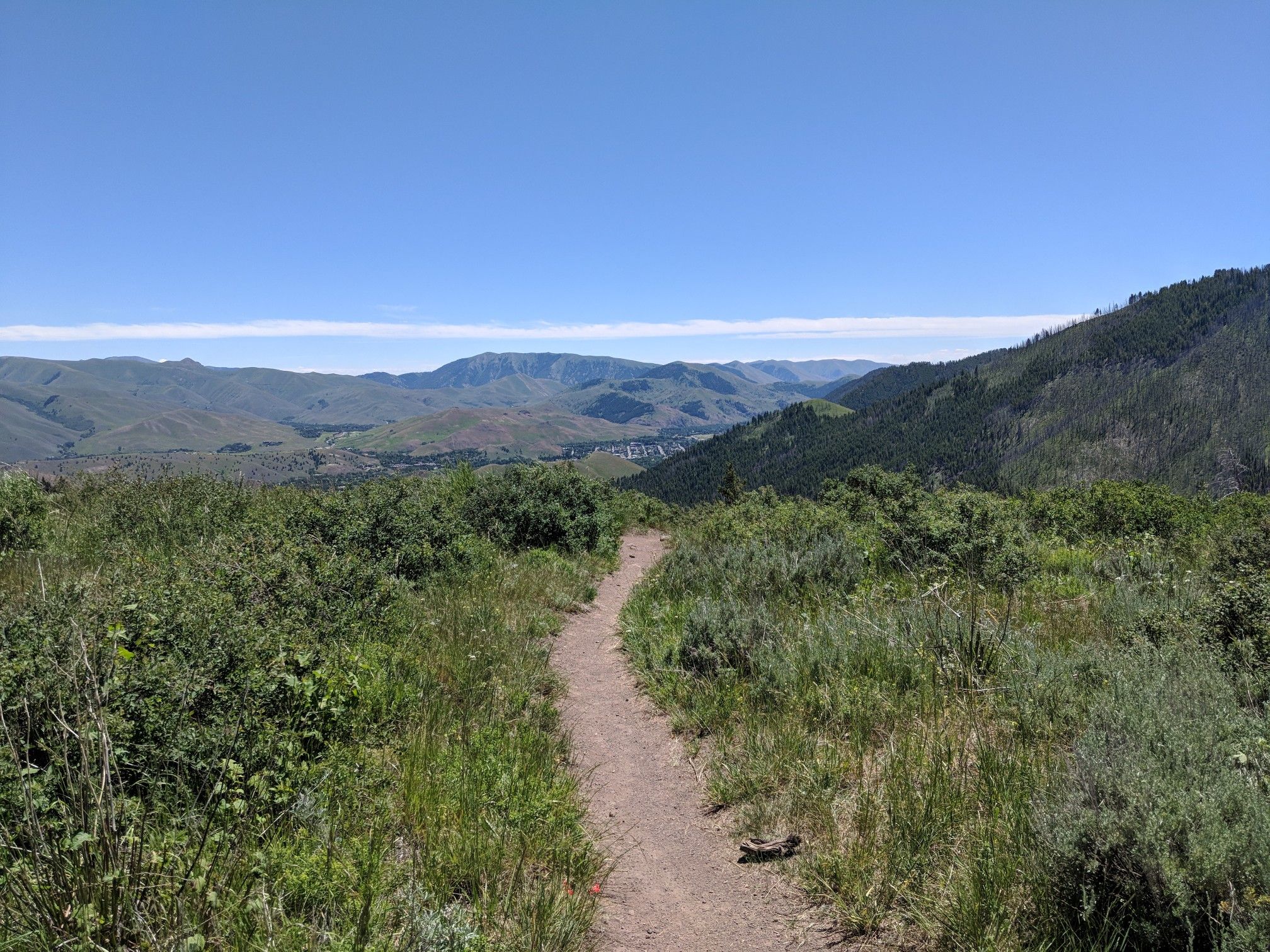 A winding dirt path through green brush with mountains under a blue sky. - Adams Gulch and Griffin Butte Loop