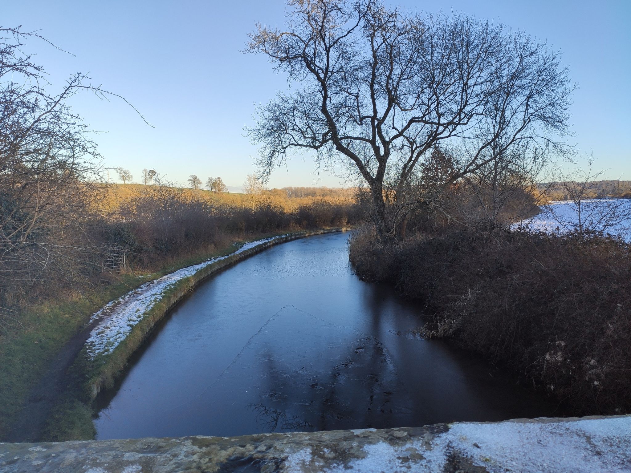 Bridge 103