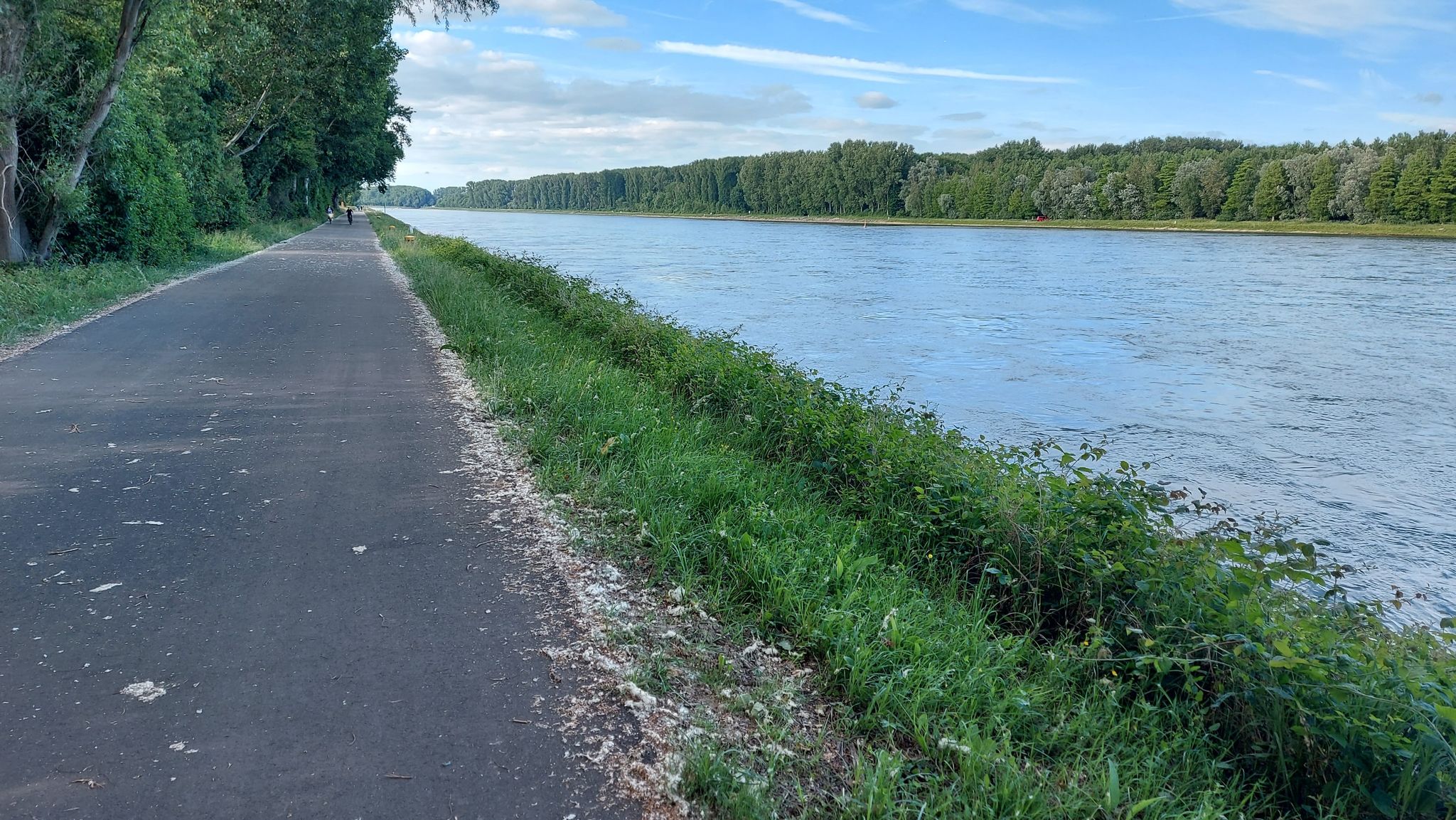 sehr breiter Fahrradweg