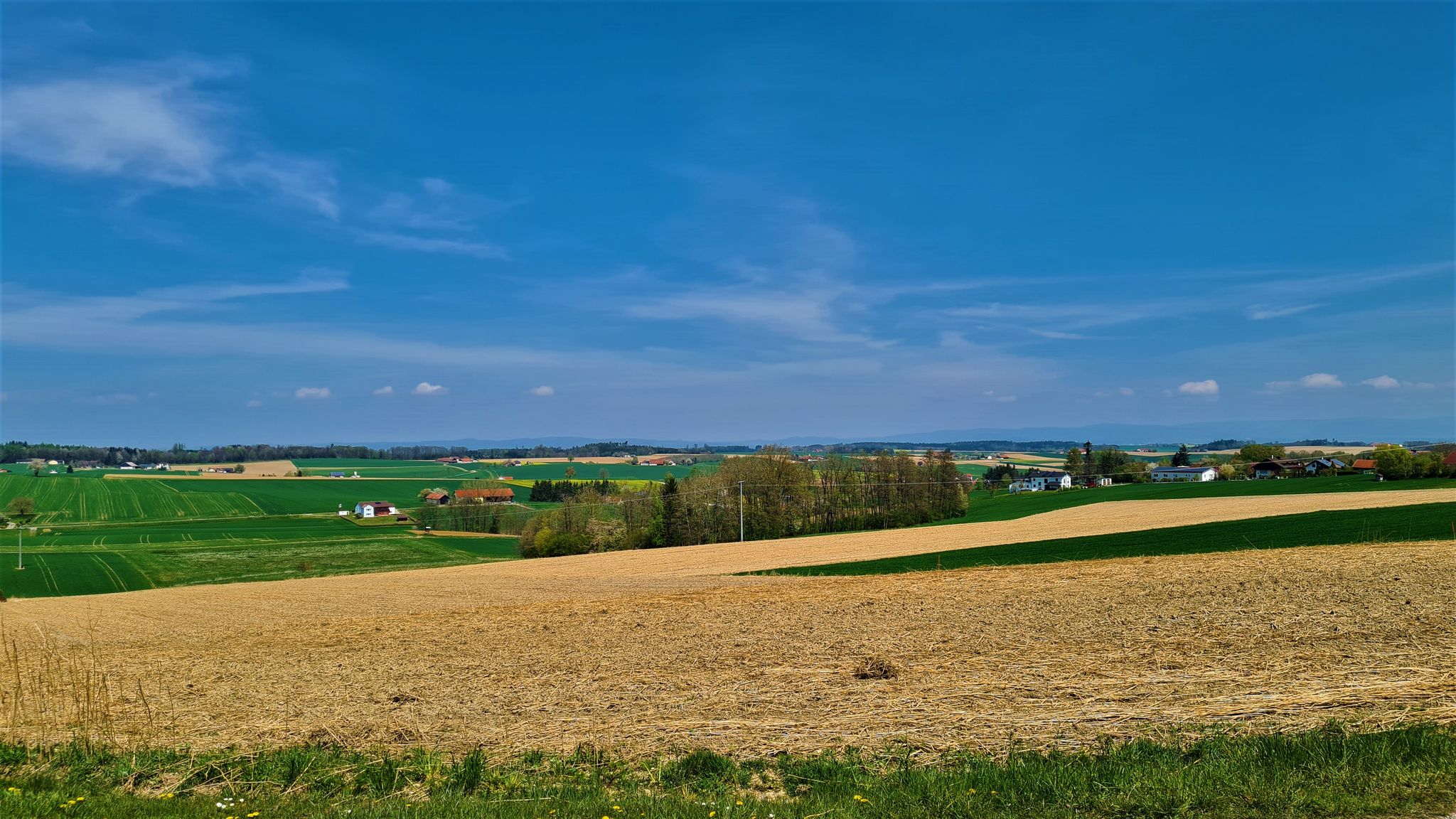 Blick nach Osten