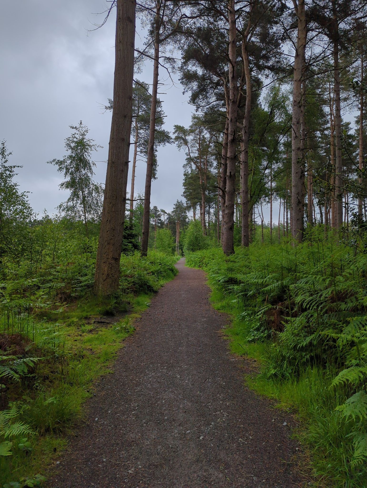 Good accessible path.