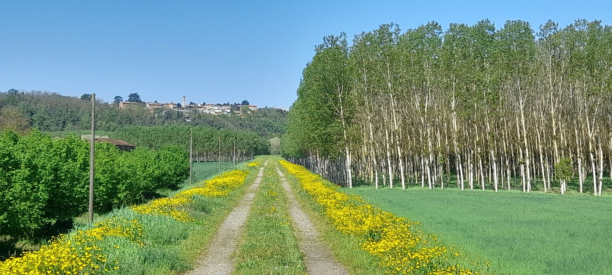 Argini Fiume Po Direzione Casale