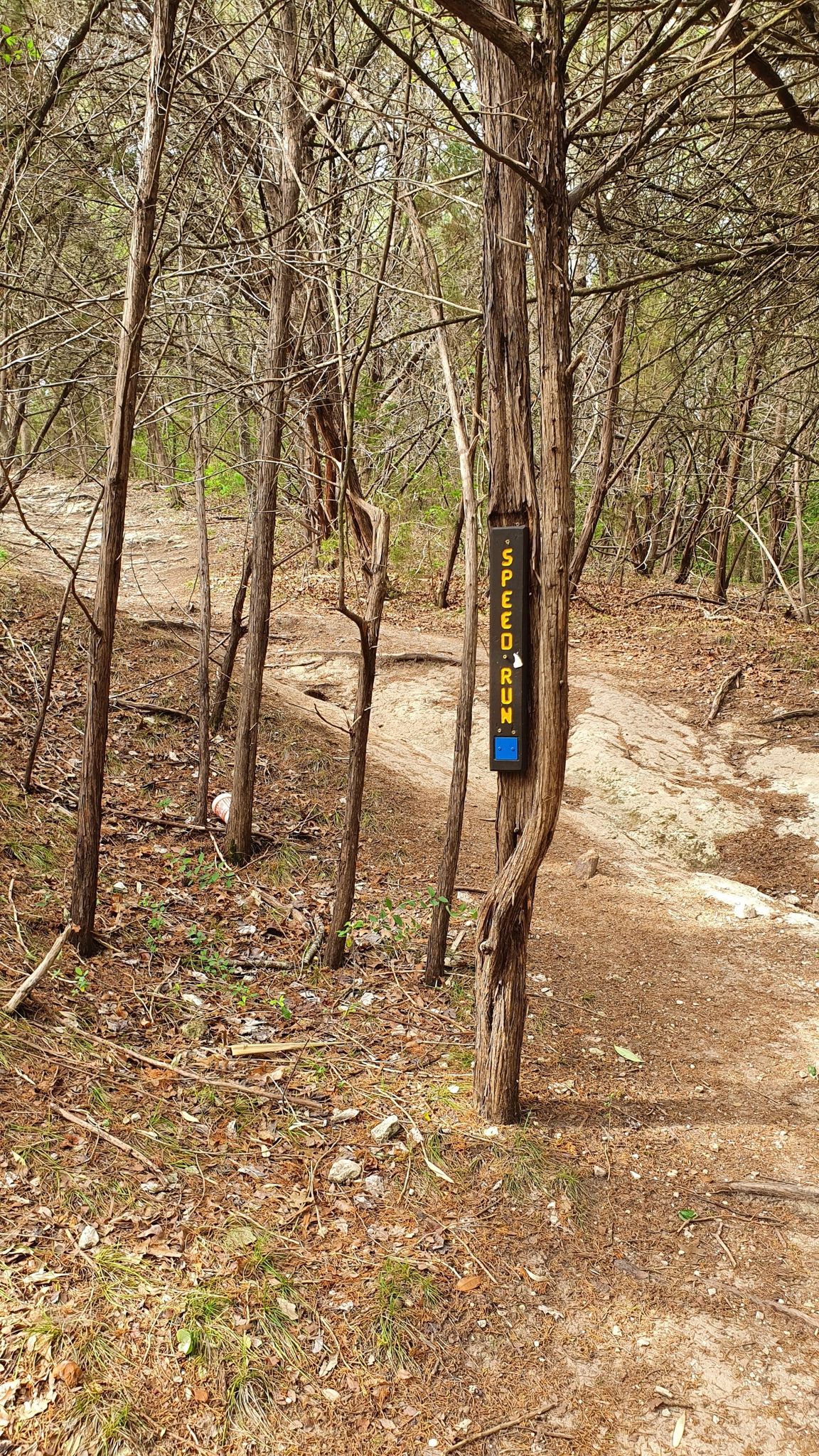 A wooden sign on a tree marks a dry, wooded path in bright light. - Brazos River loop from Cameron Park Zoo