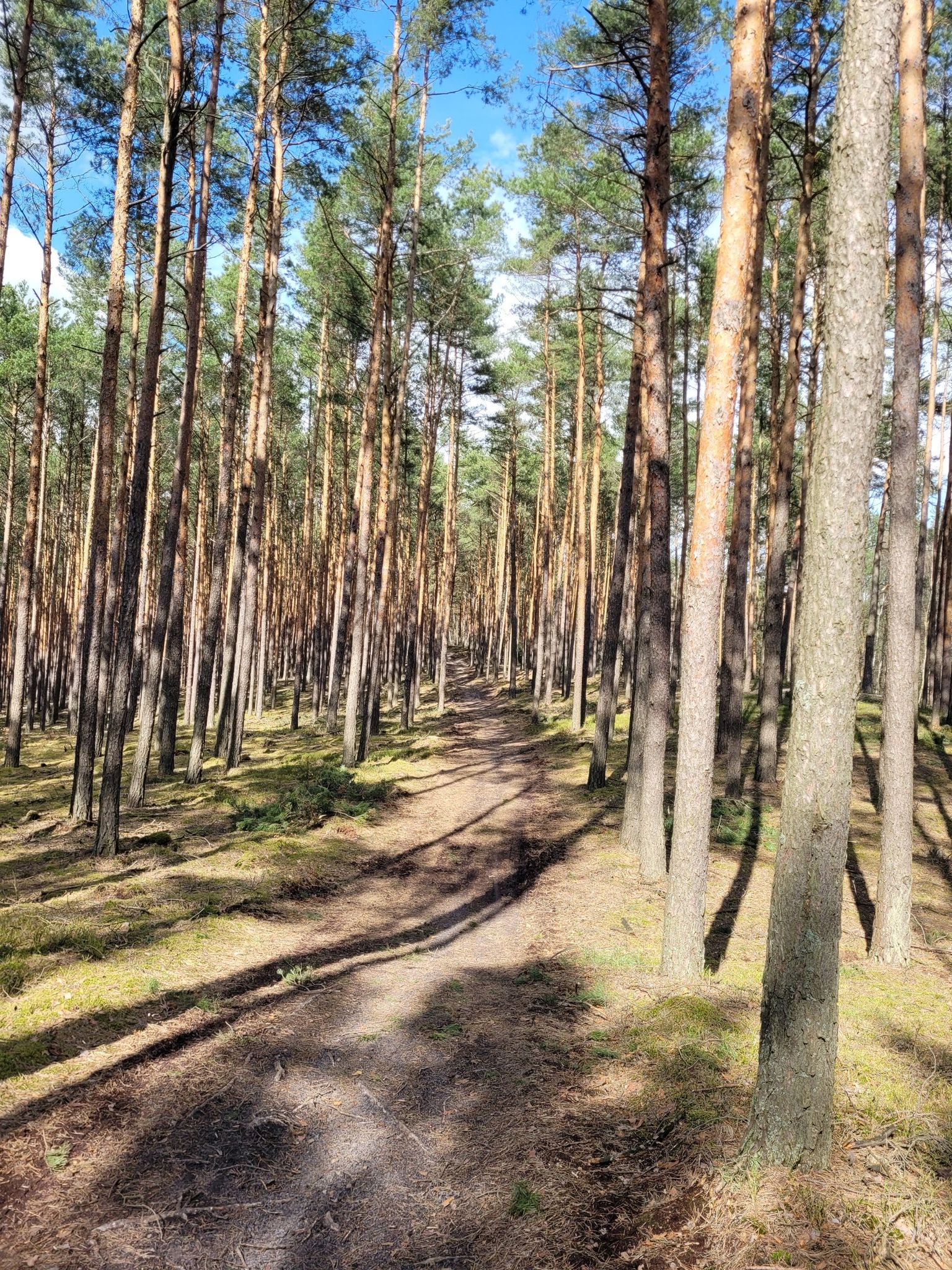 Łucznica Góra