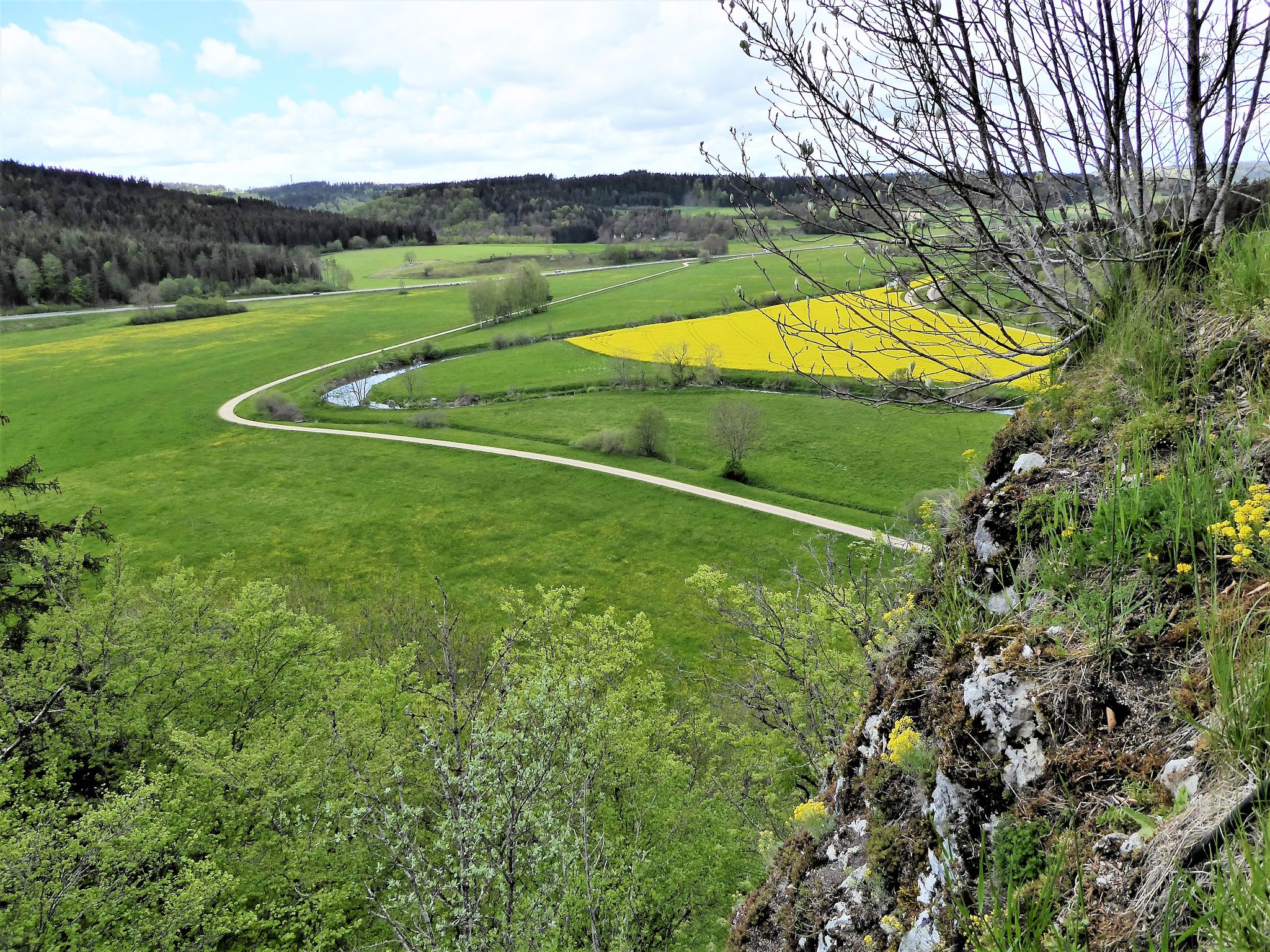 Blick von der Ruine Hertenstein
