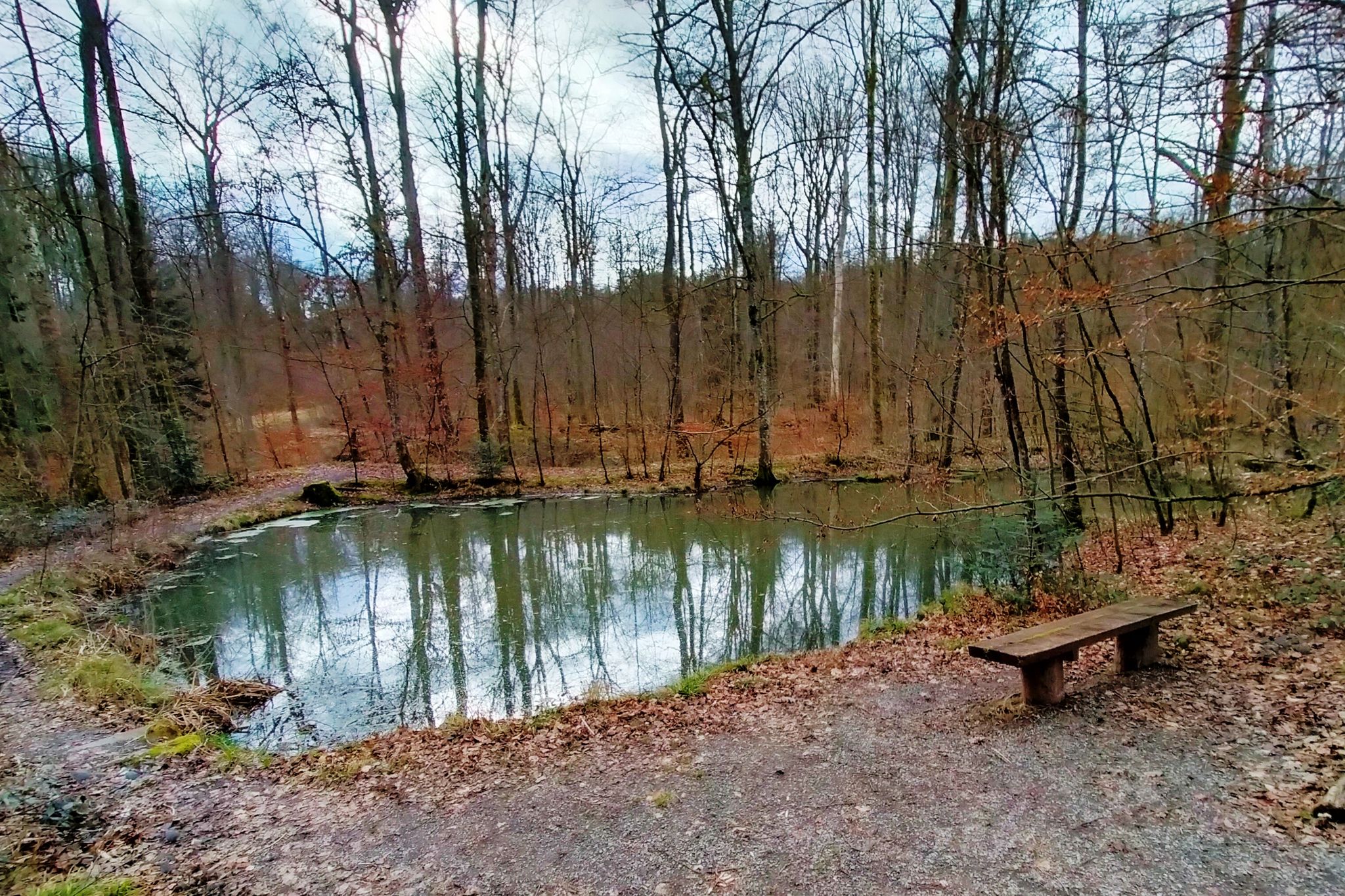 Tümpel am Stromberghang