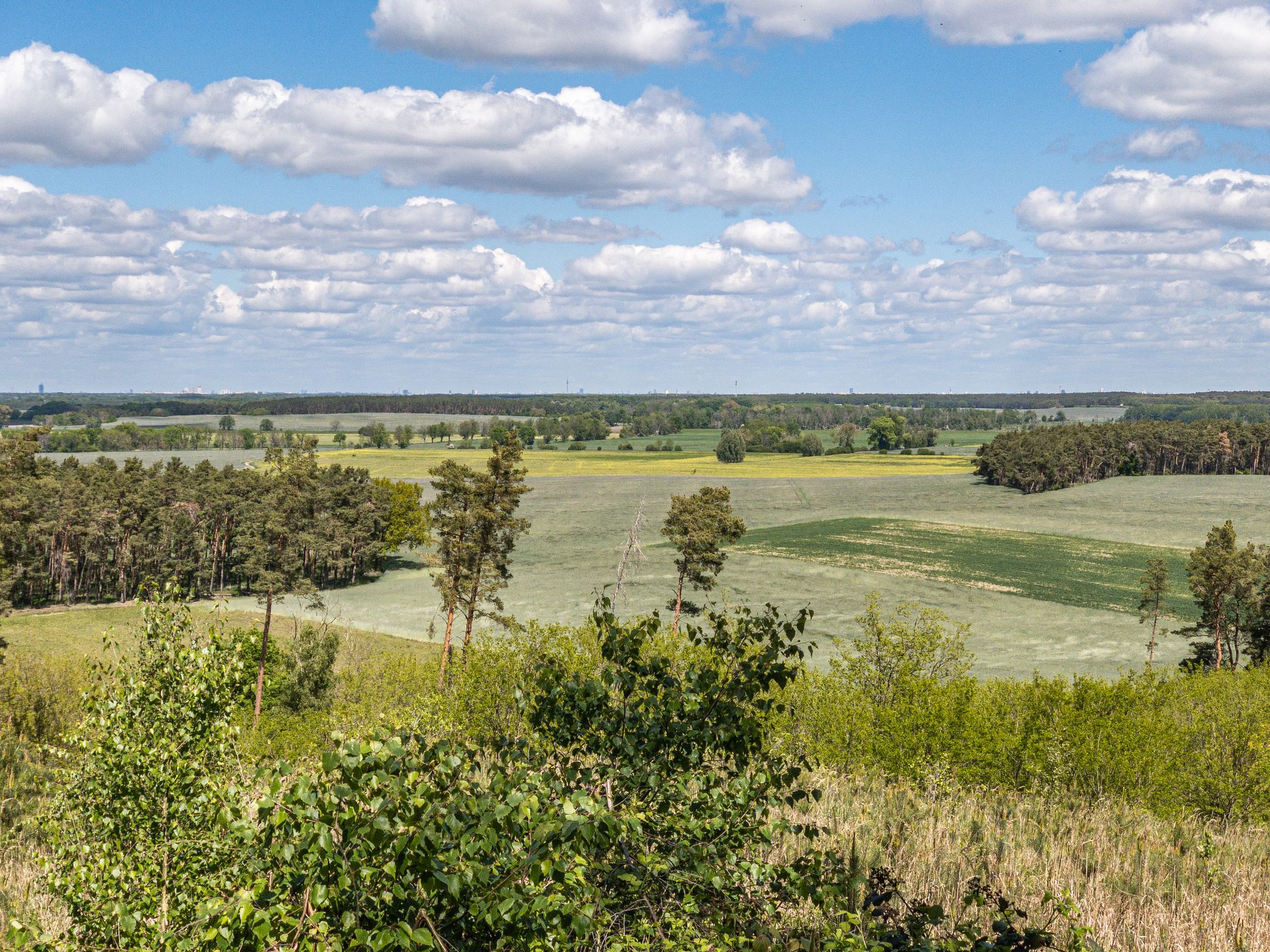 Ausblick vom Weinberg Glienicke bis zum Berliner Fernsehturm