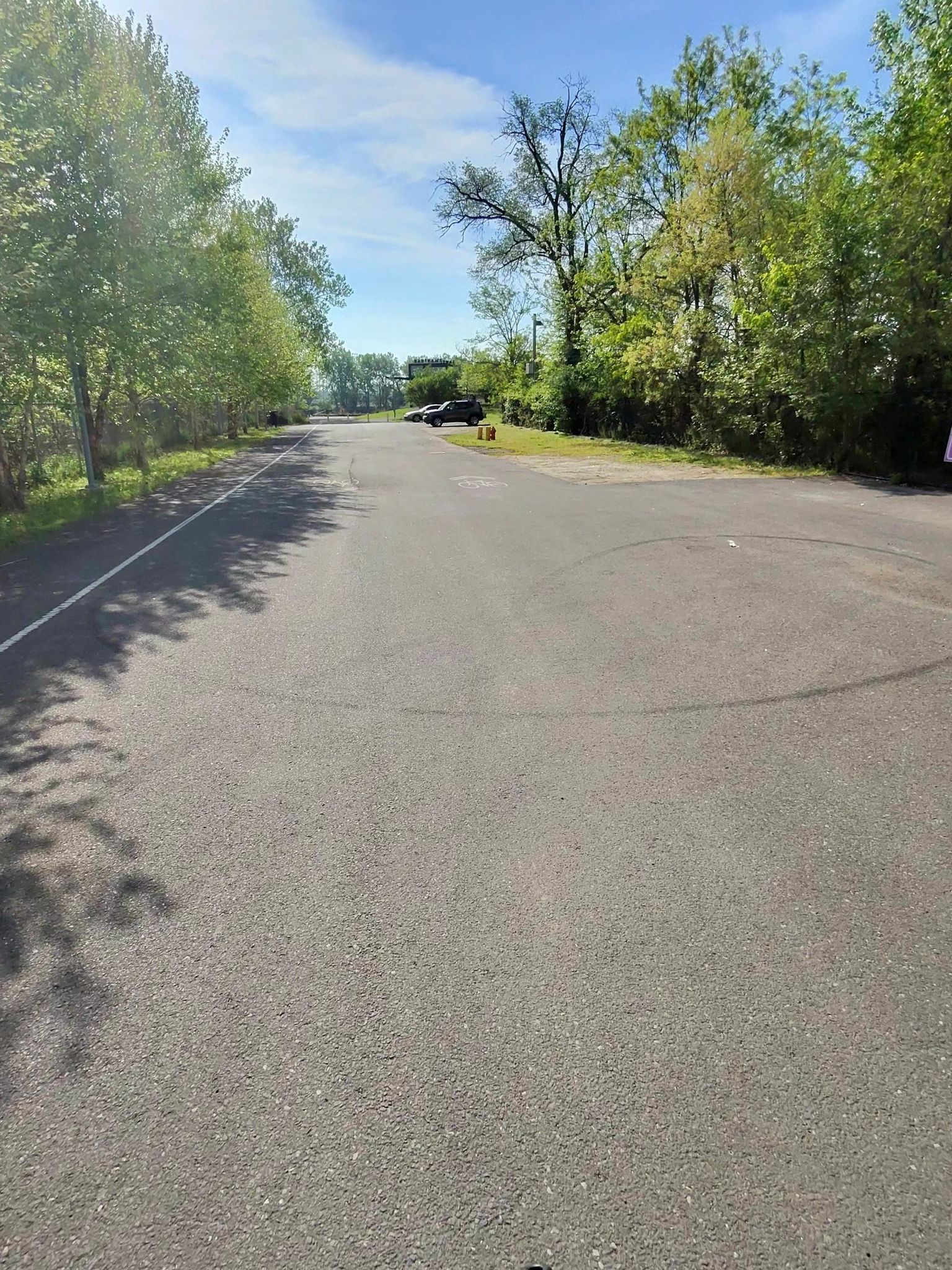 Empty paved road with trees lining both sides under a bright sky. - Bartram's Mile Trail Loop