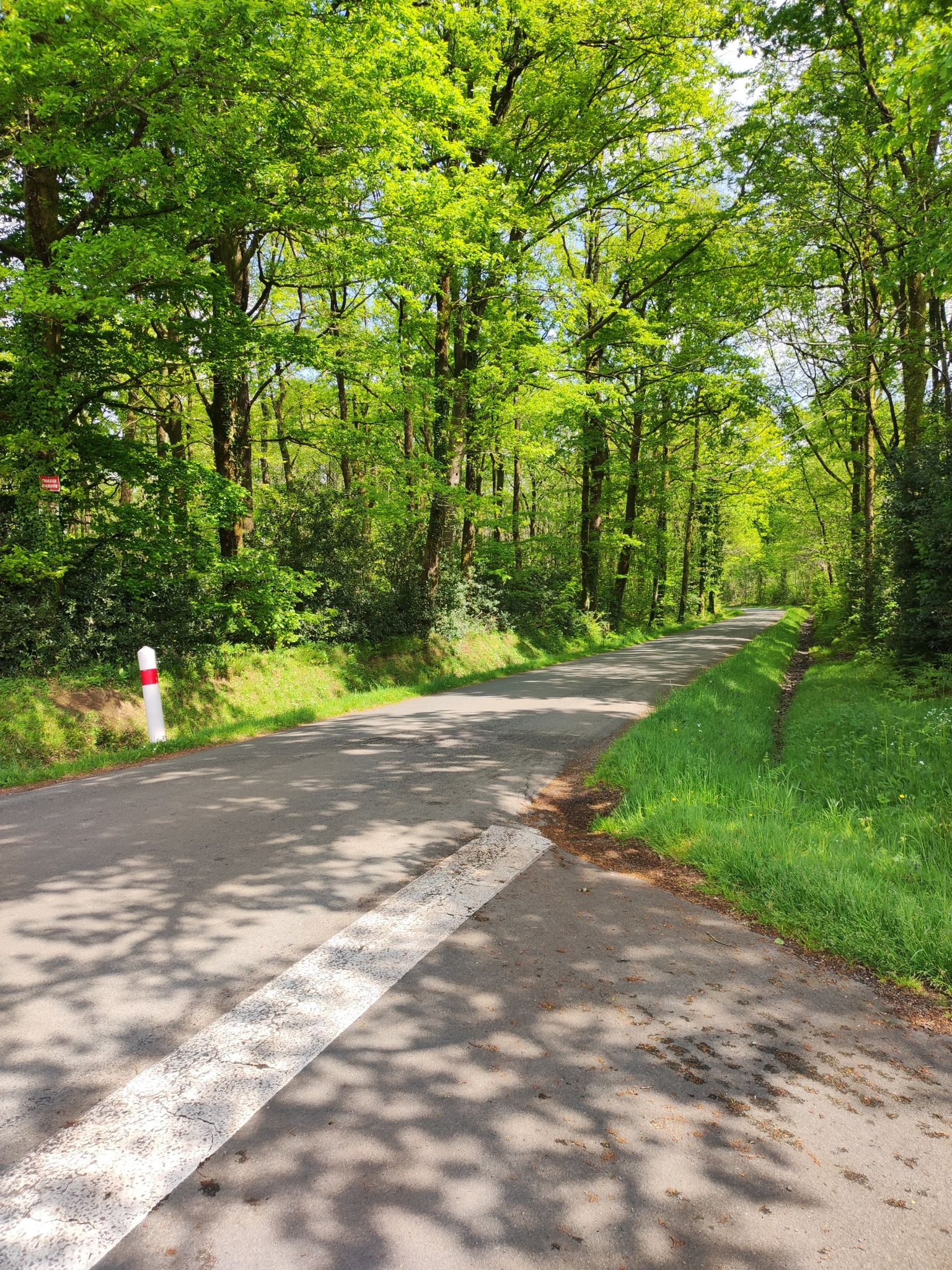 beaucoup route de campagne